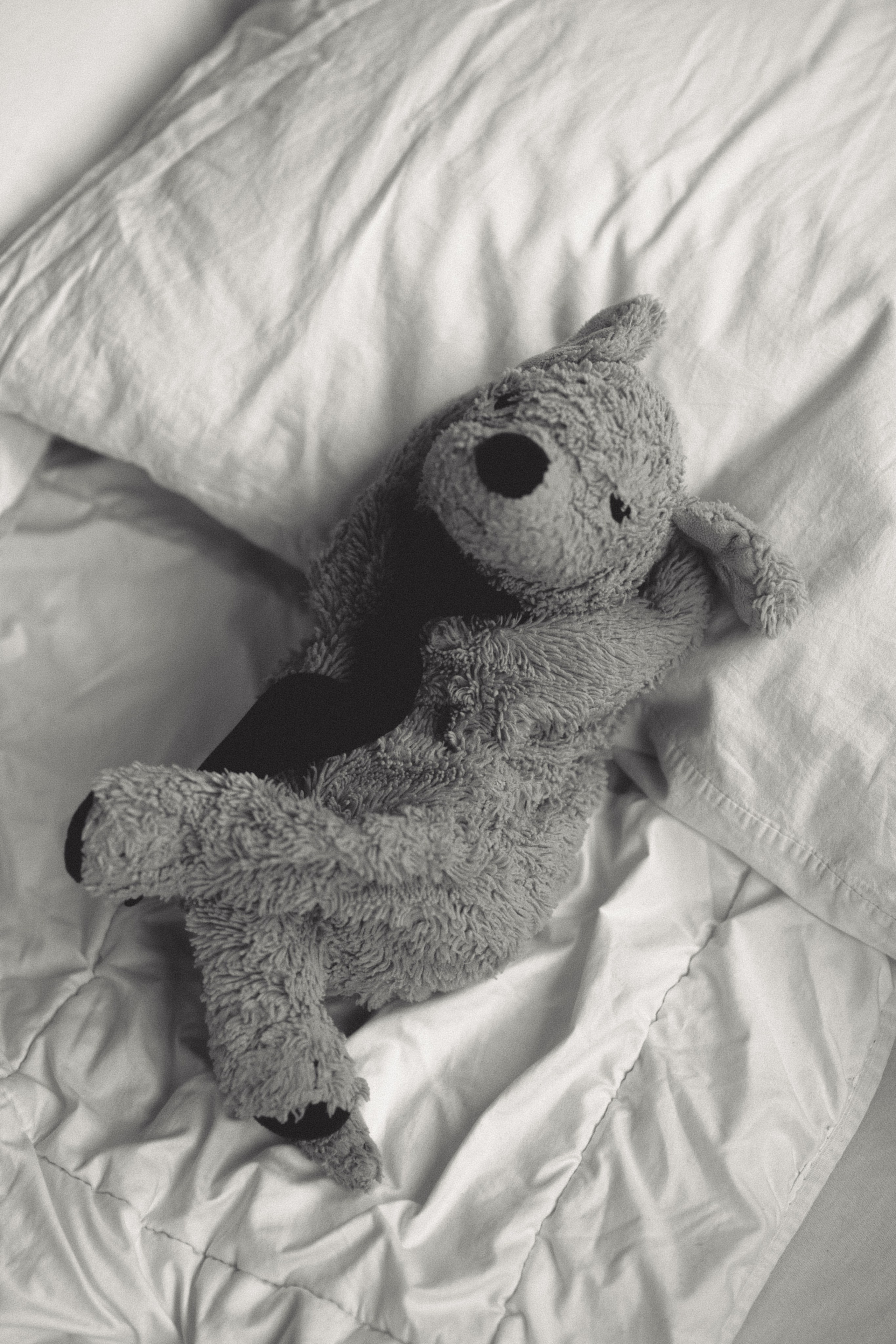 Это про любовь. Фотограф. Москва