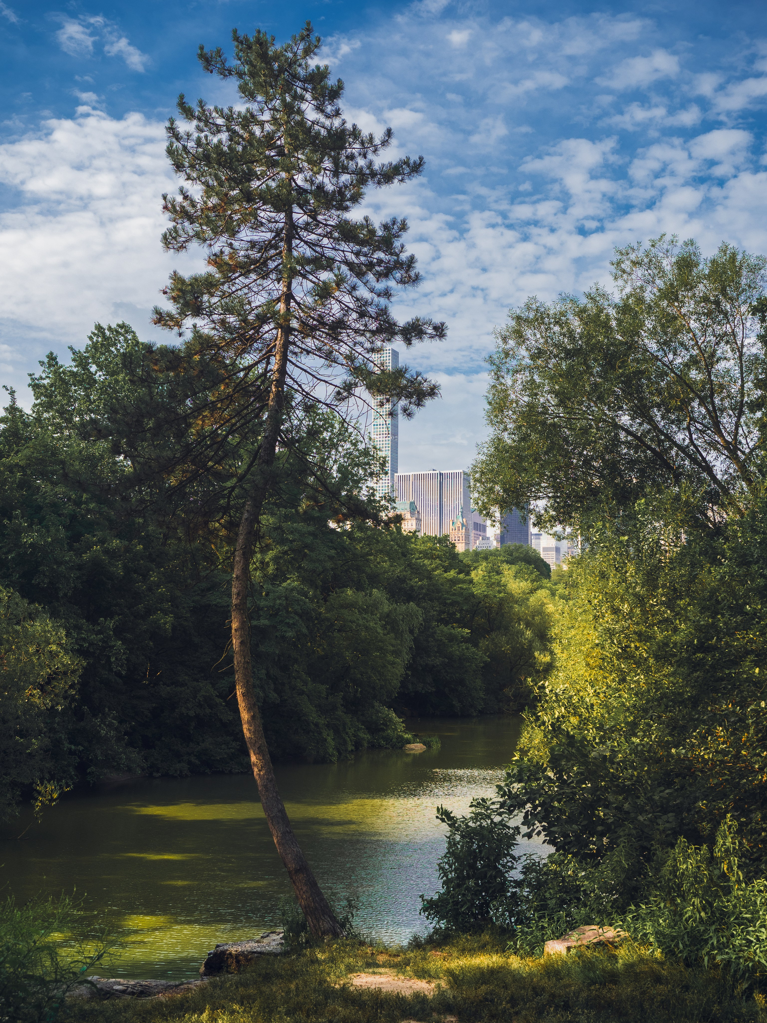 New York. Serge Sadov about landscape, cityscape, travel