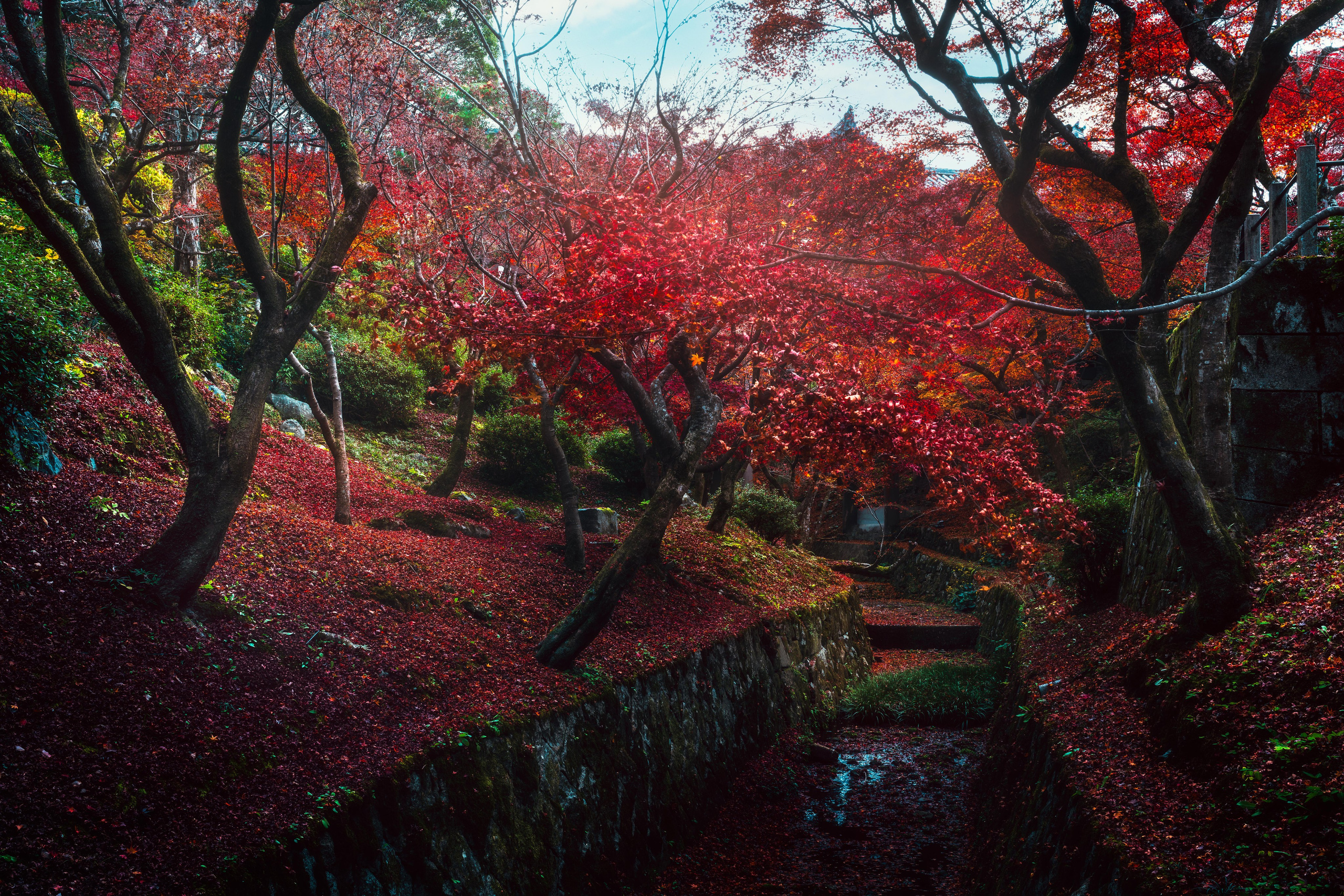 Киото. Сергей Садов о путешествиях, пейзажах и архитектуре