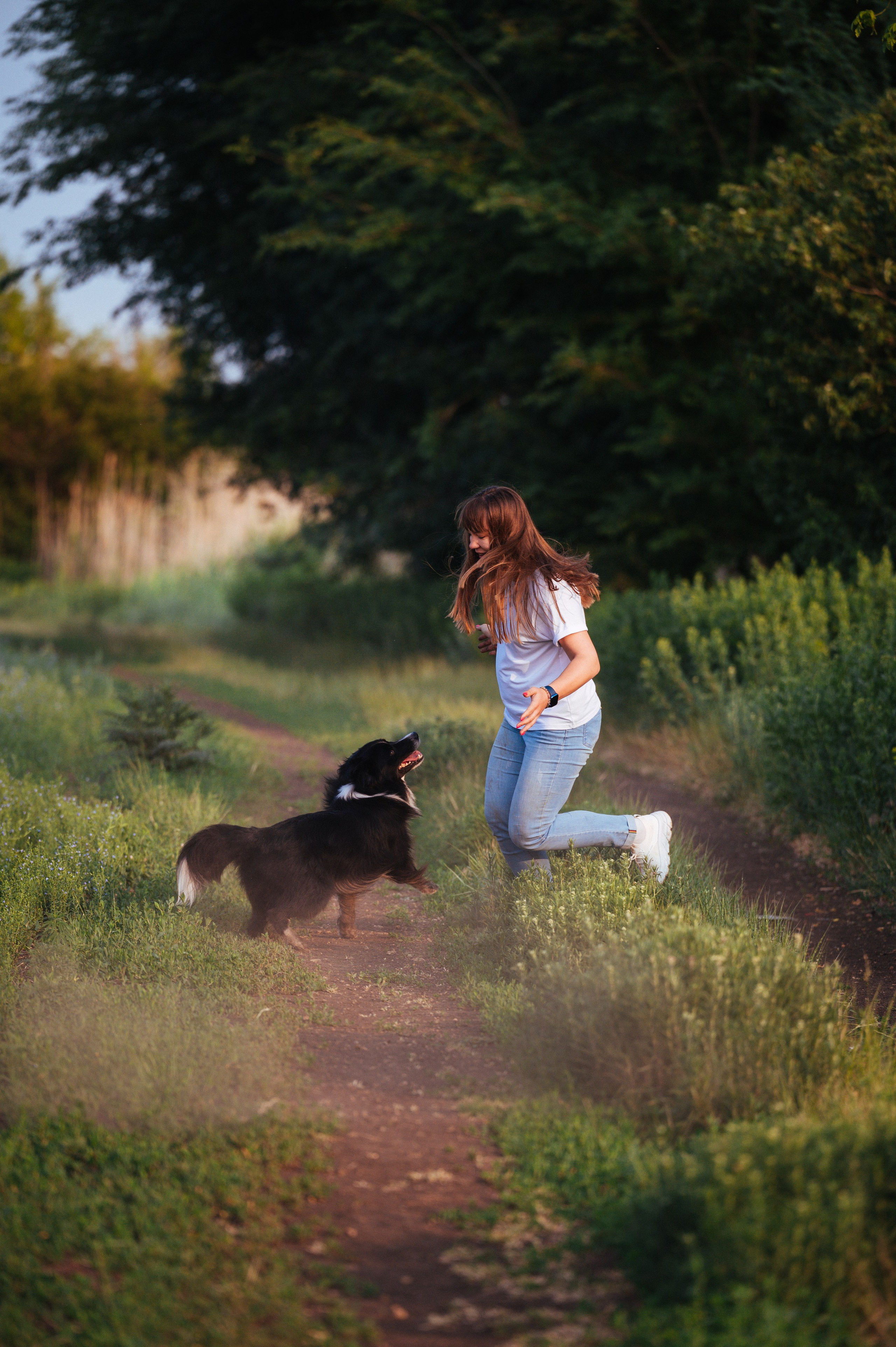 Прогулка на рассвете с бордер-колли. Фотограф в Ростове —на — Дону