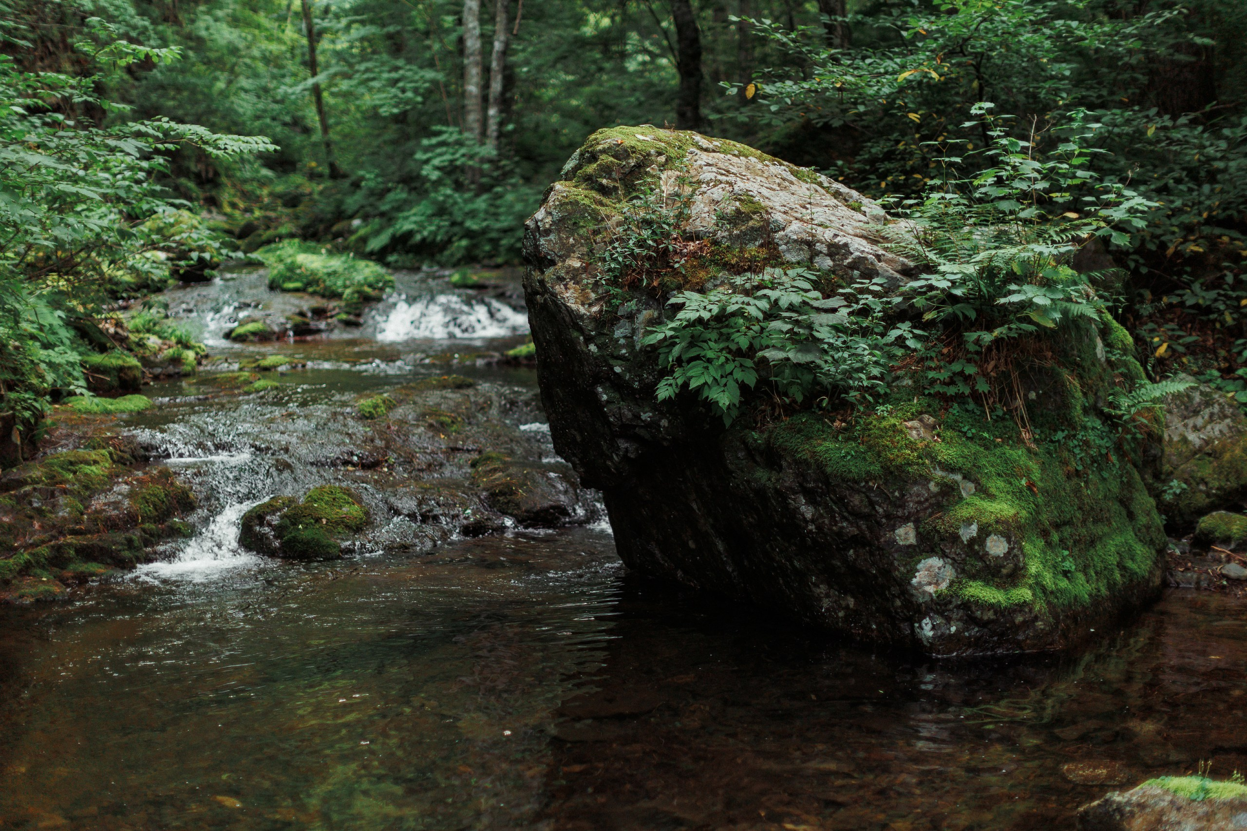 Водопад. Свадебный, семейный и детский фотограф в городе Партизанск, Находка