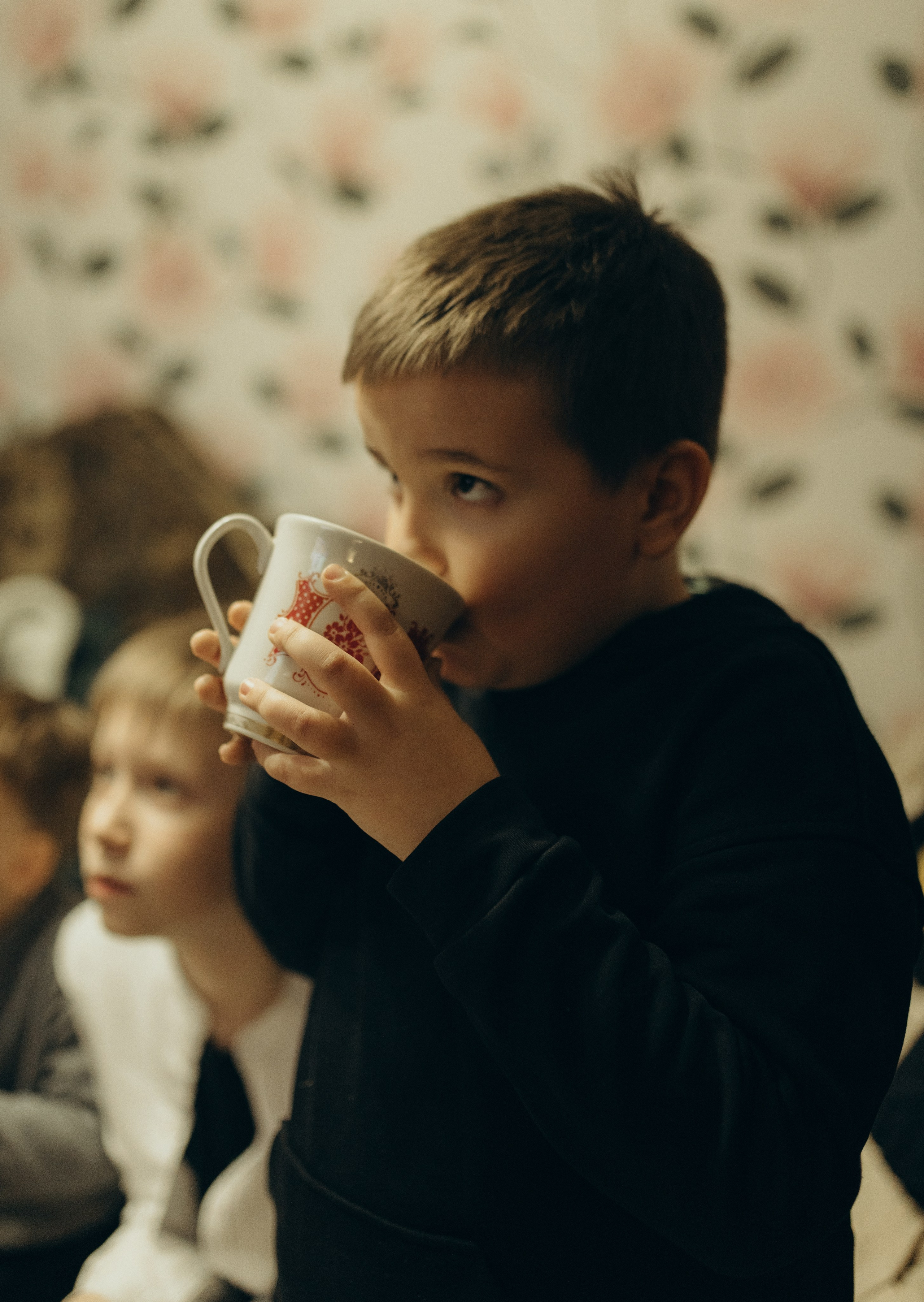 Домашняя история. Meryfotoidea