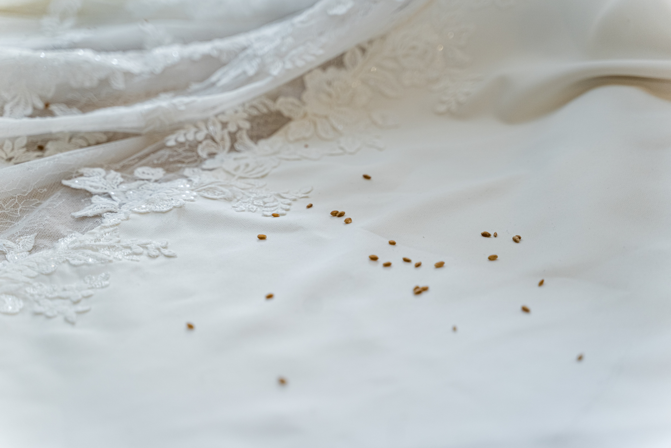 Philip and Cecilia, Prague