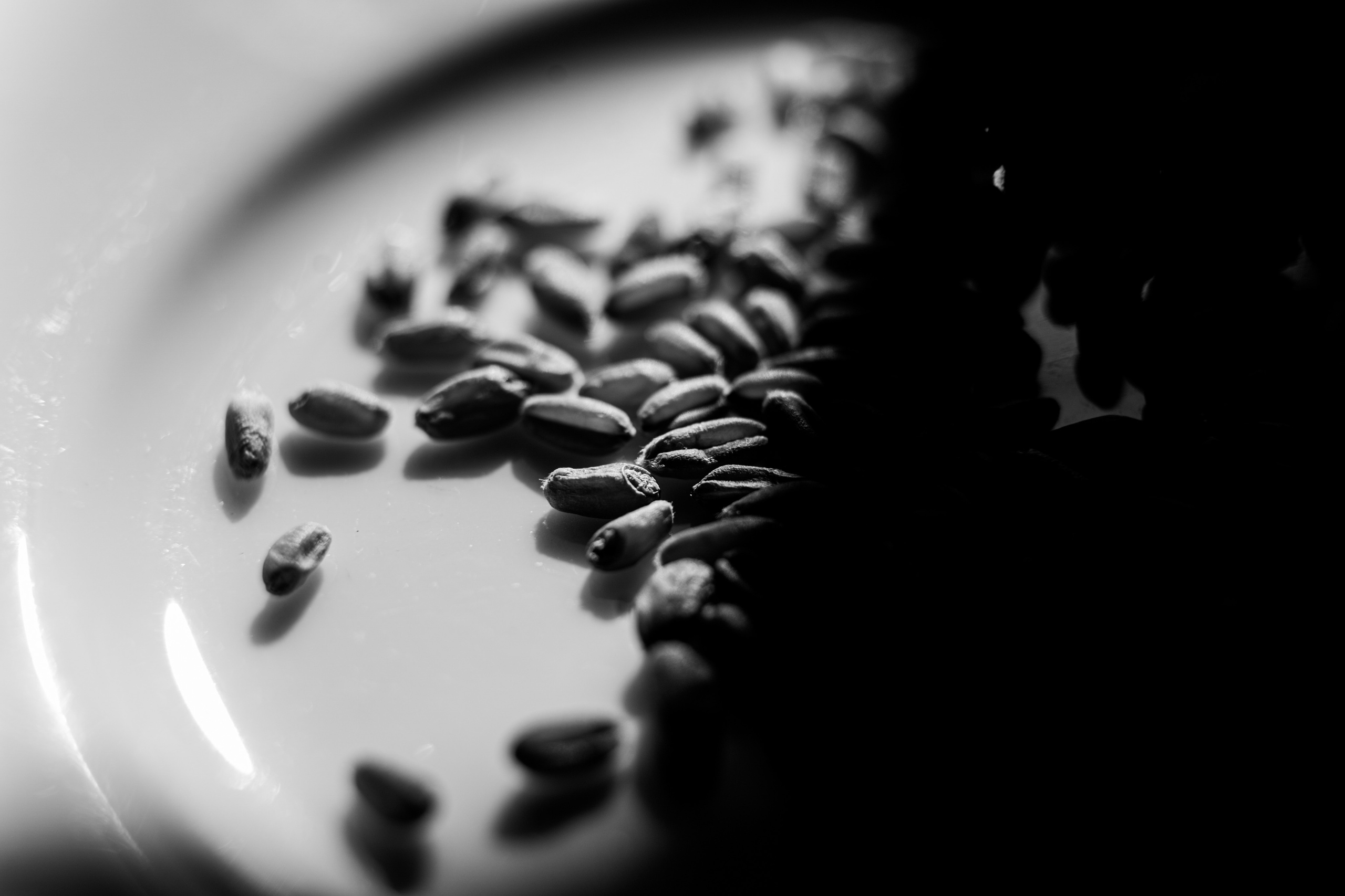 Philip and Cecilia, Prague