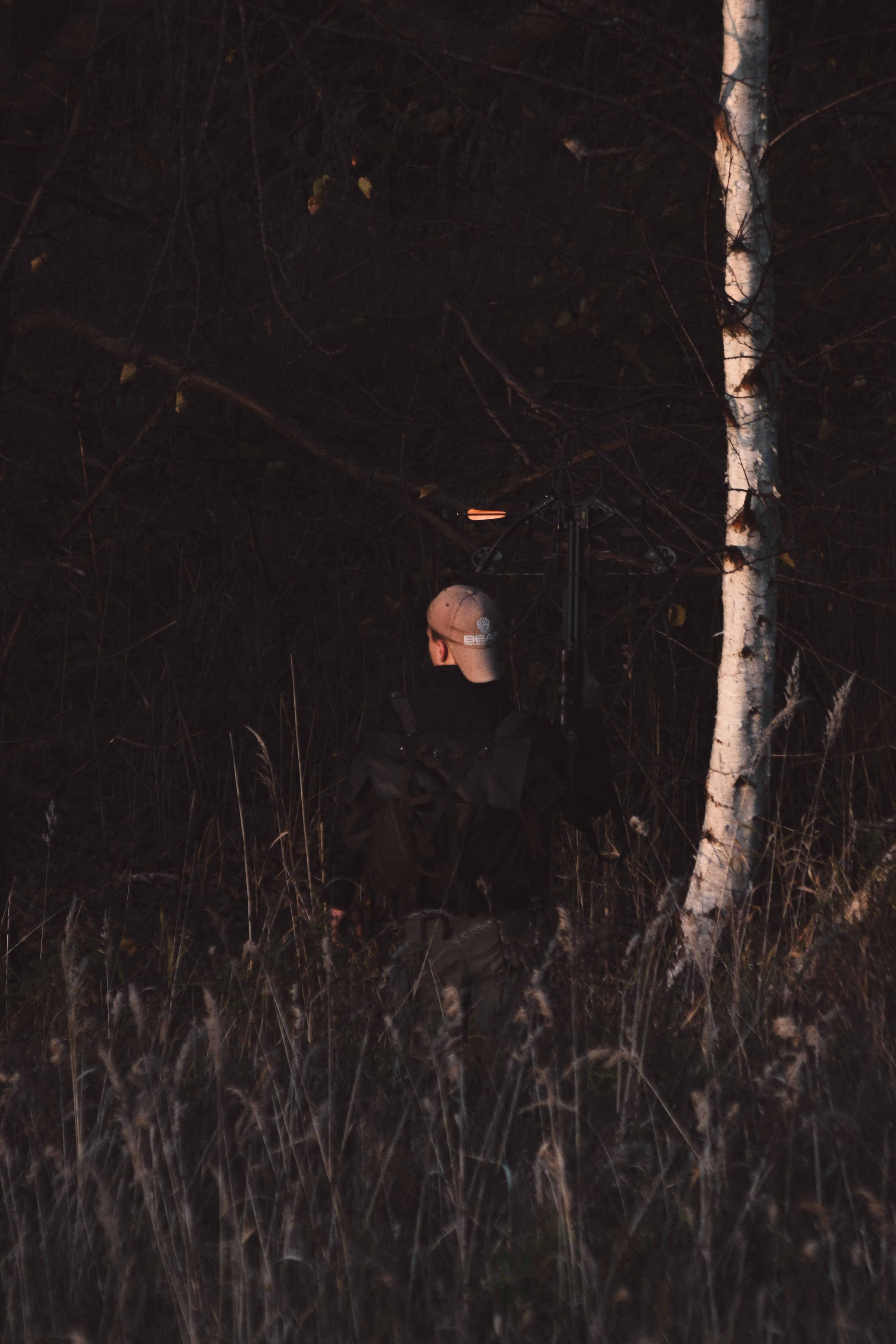 Никита П. (Daryl Dixon). — Digital Noise —