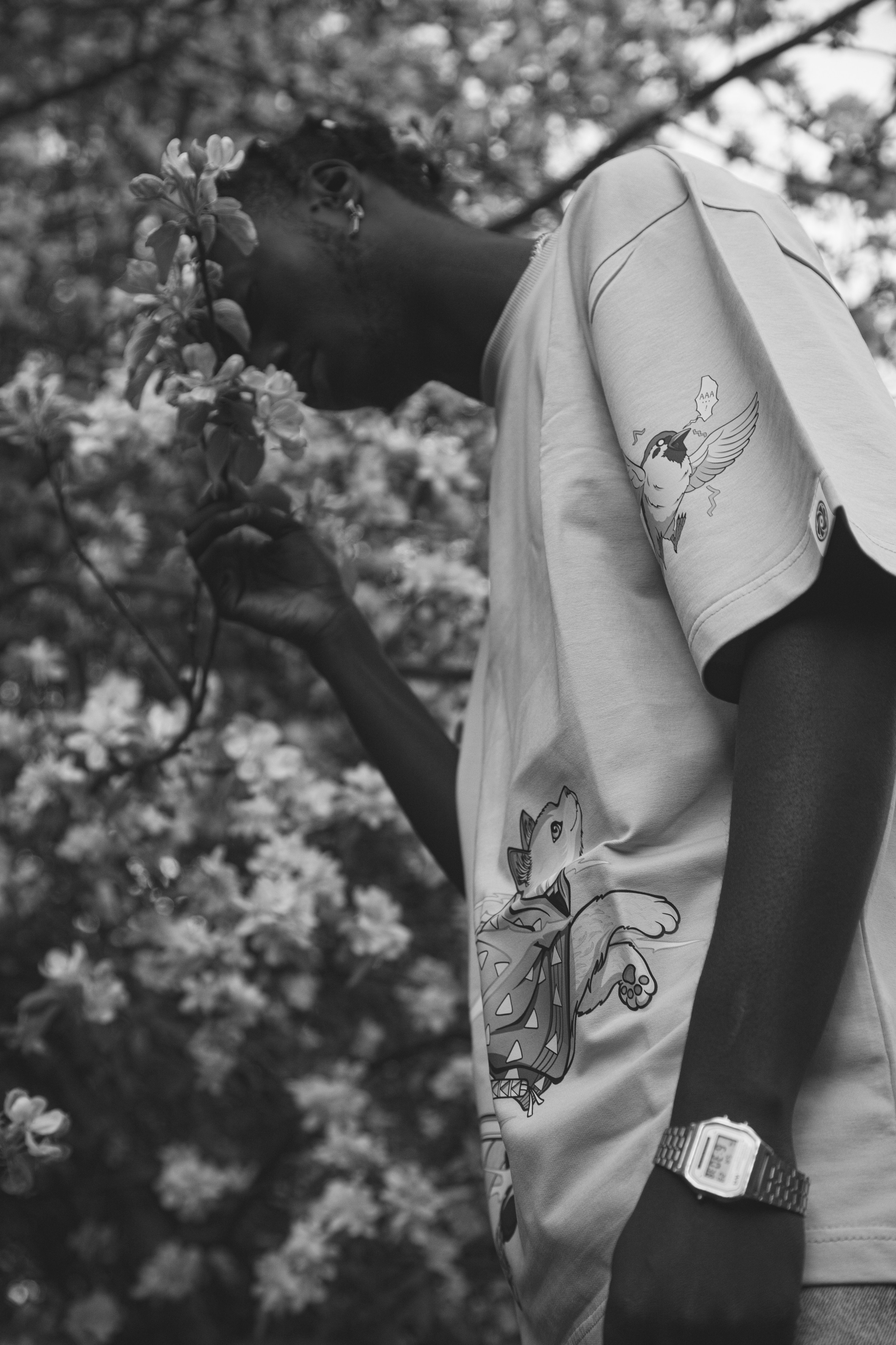 F a b i o. — Digital Noise —