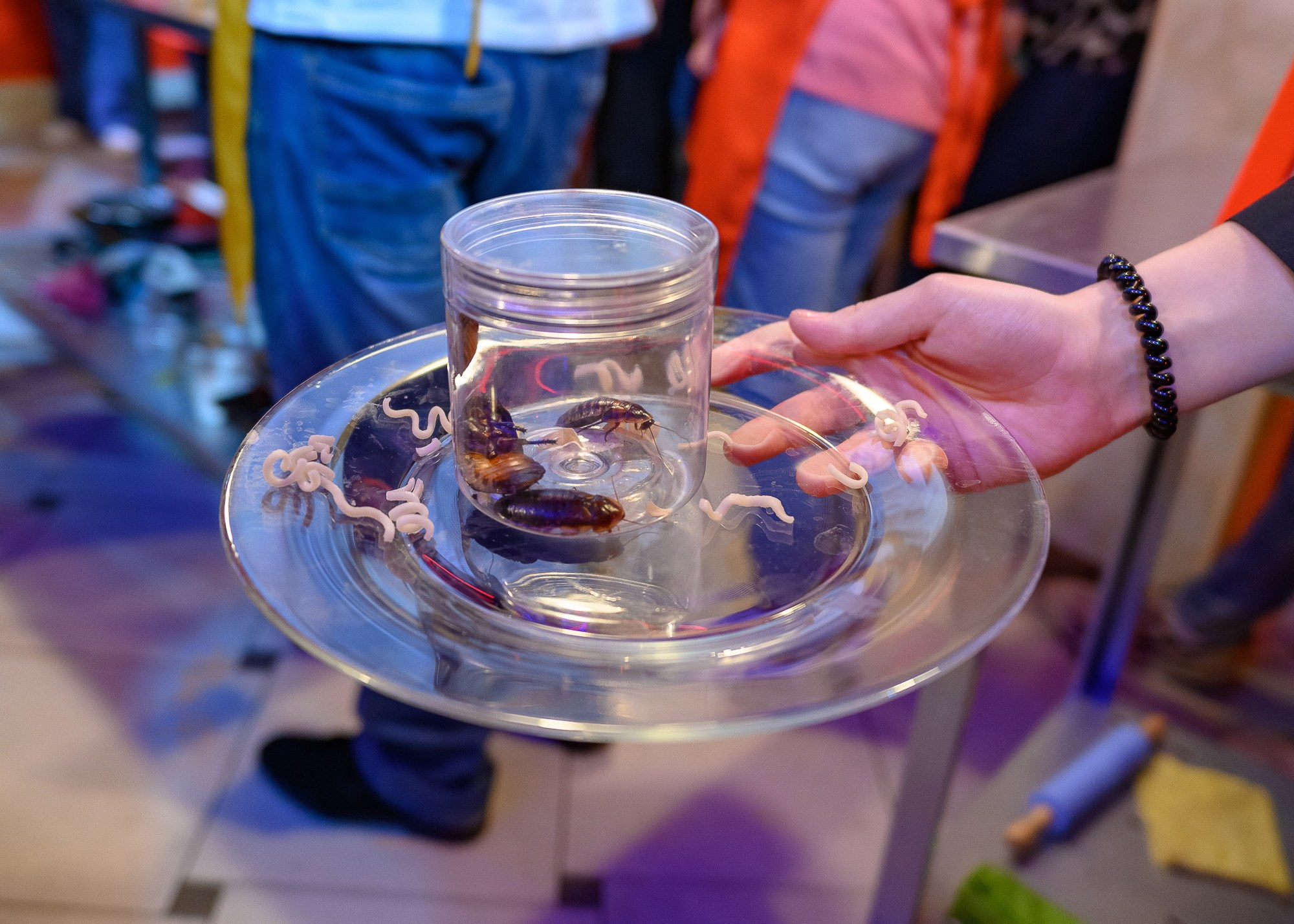 Кулинарный квест-шоу CooknRun. Фотограф Александр Данилов