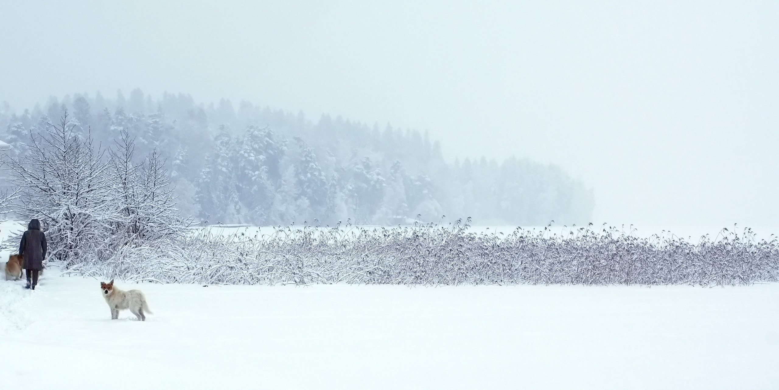 Пейзаж. Вадим Шейдин