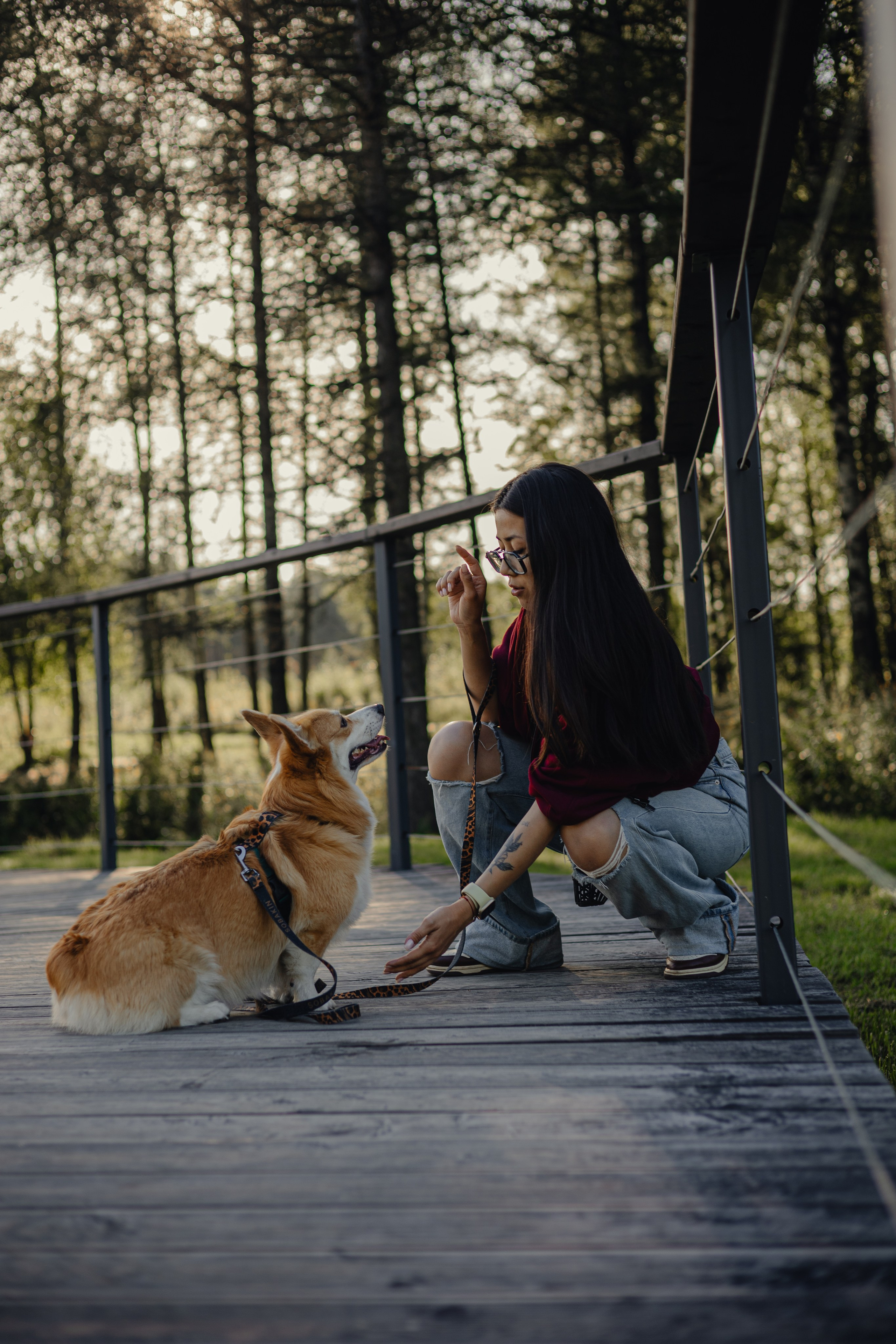 Мари & Йосик. Фотограф — анималист •love-story•|Санкт-Петербург