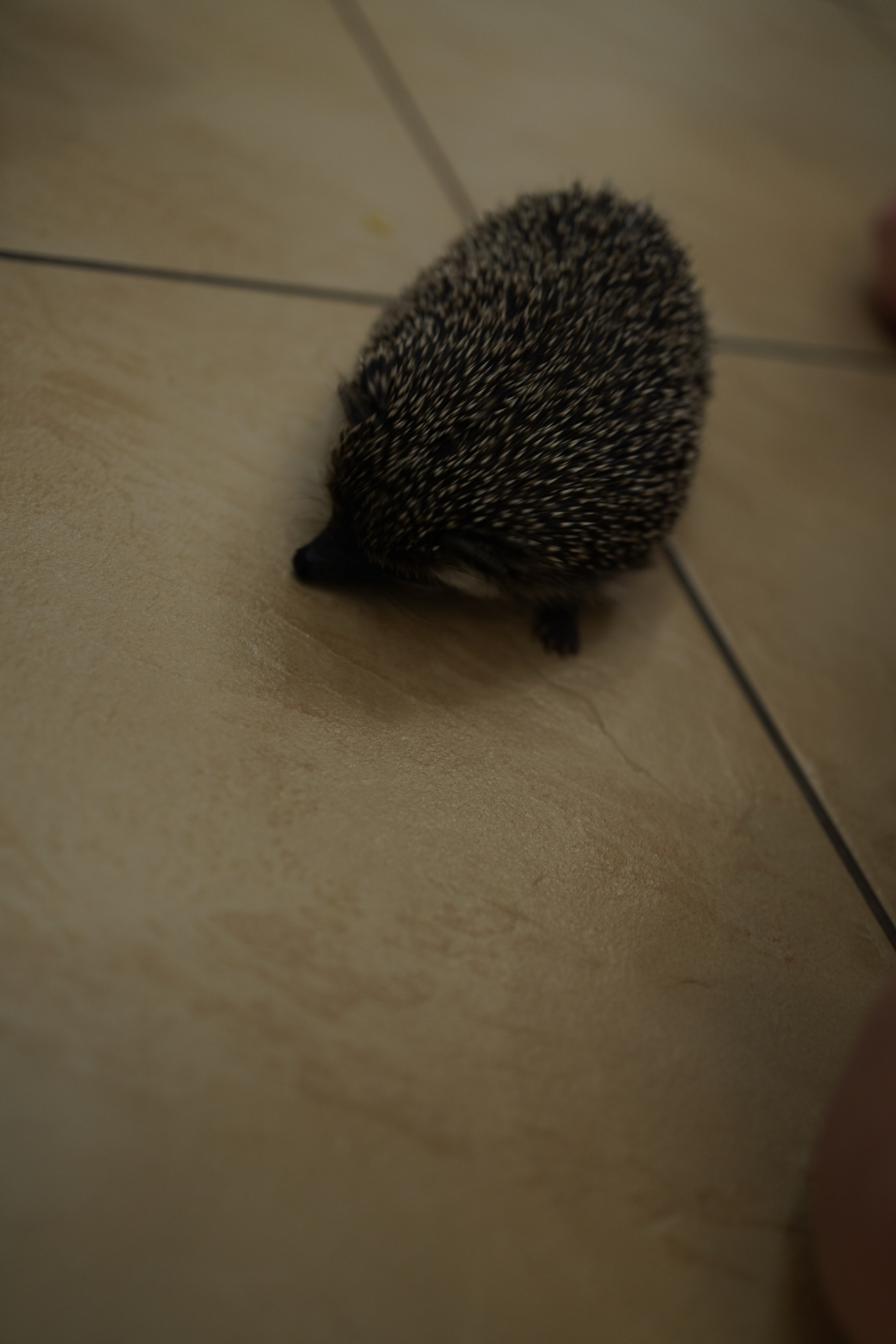 НГ 2020. Заставка