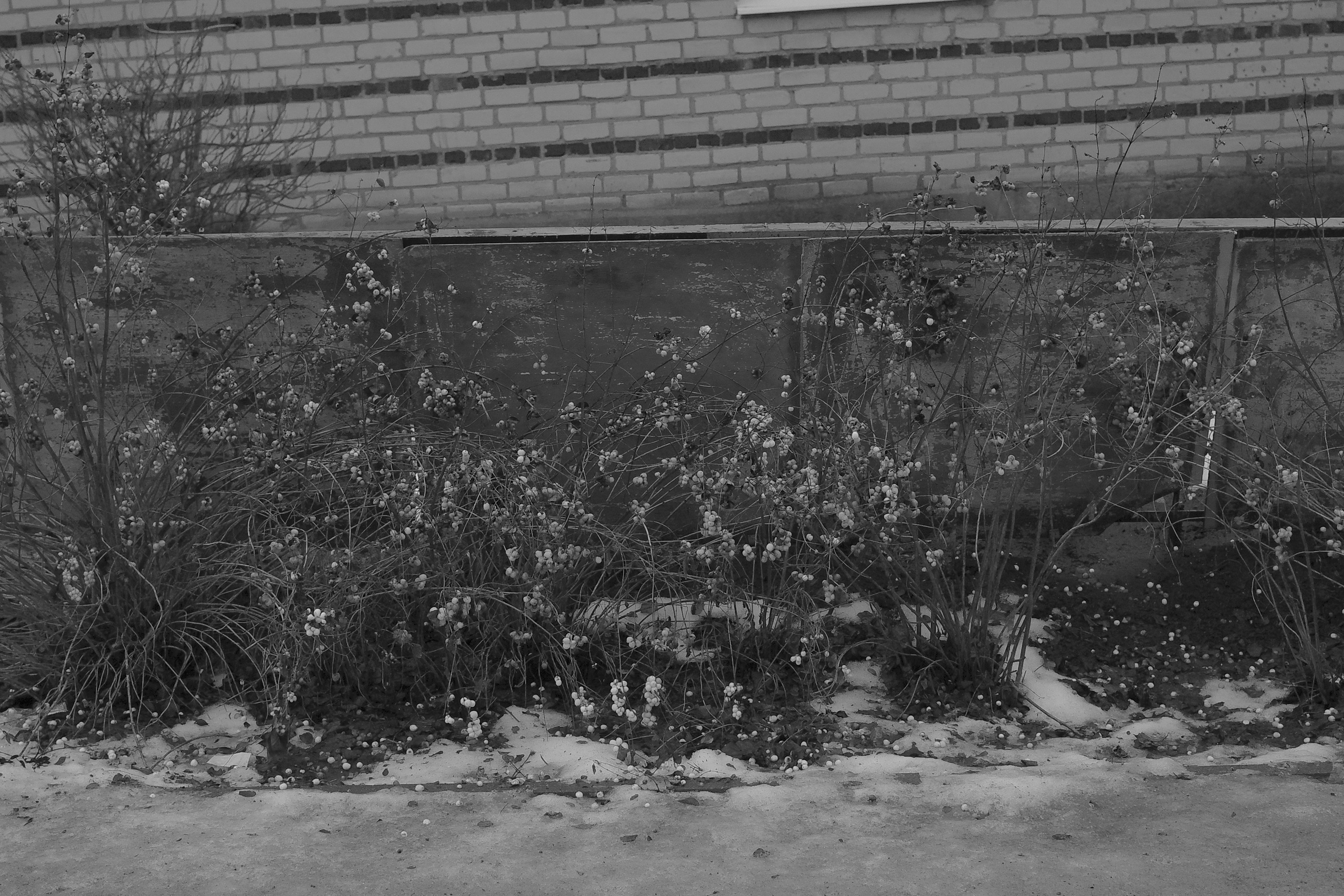 — 2025. Фотограф Злата Спицына