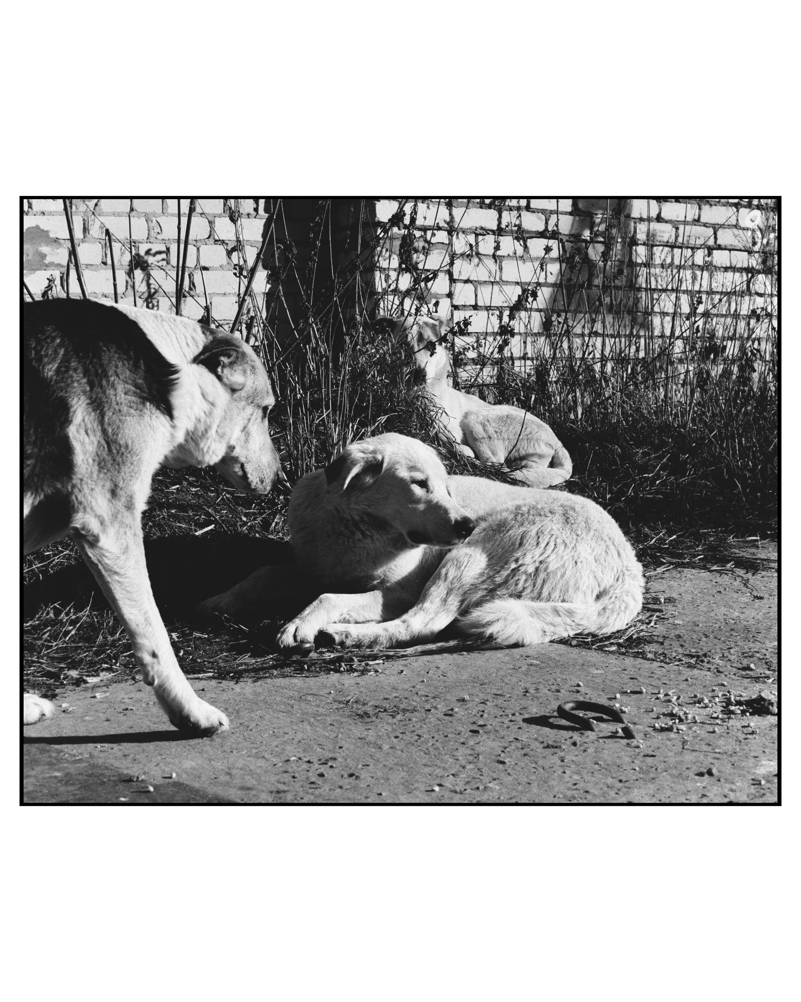 KALUGA. ANNA — PHOTOGRAPHER