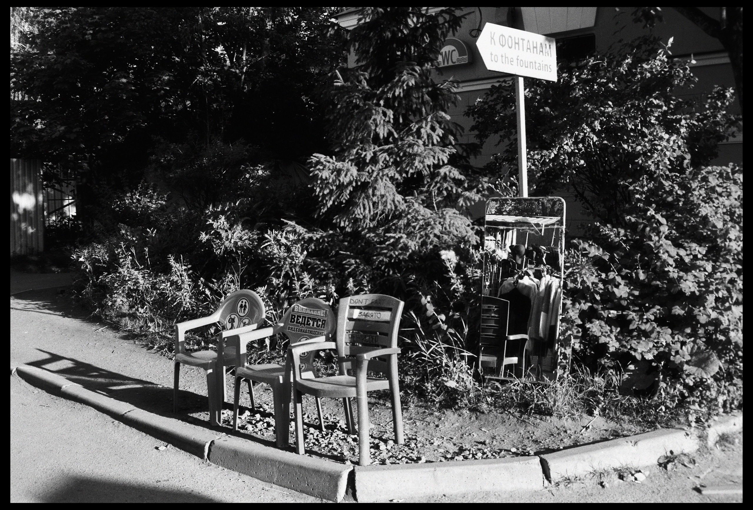 Saint-Petersburg. ANNA — PHOTOGRAPHER