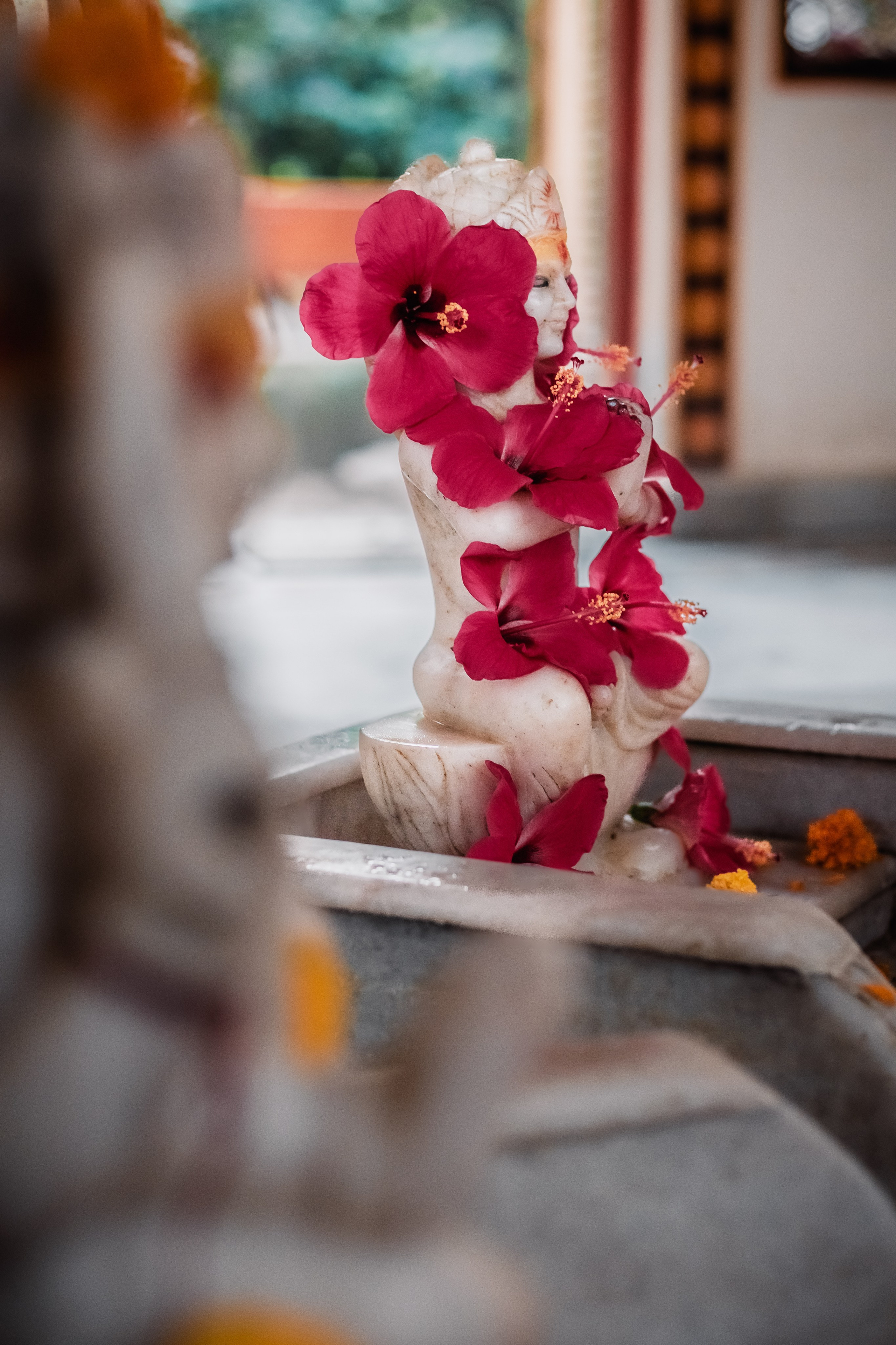 Devraha baba ji ashram life 2025. Mariam Bagdasaryan