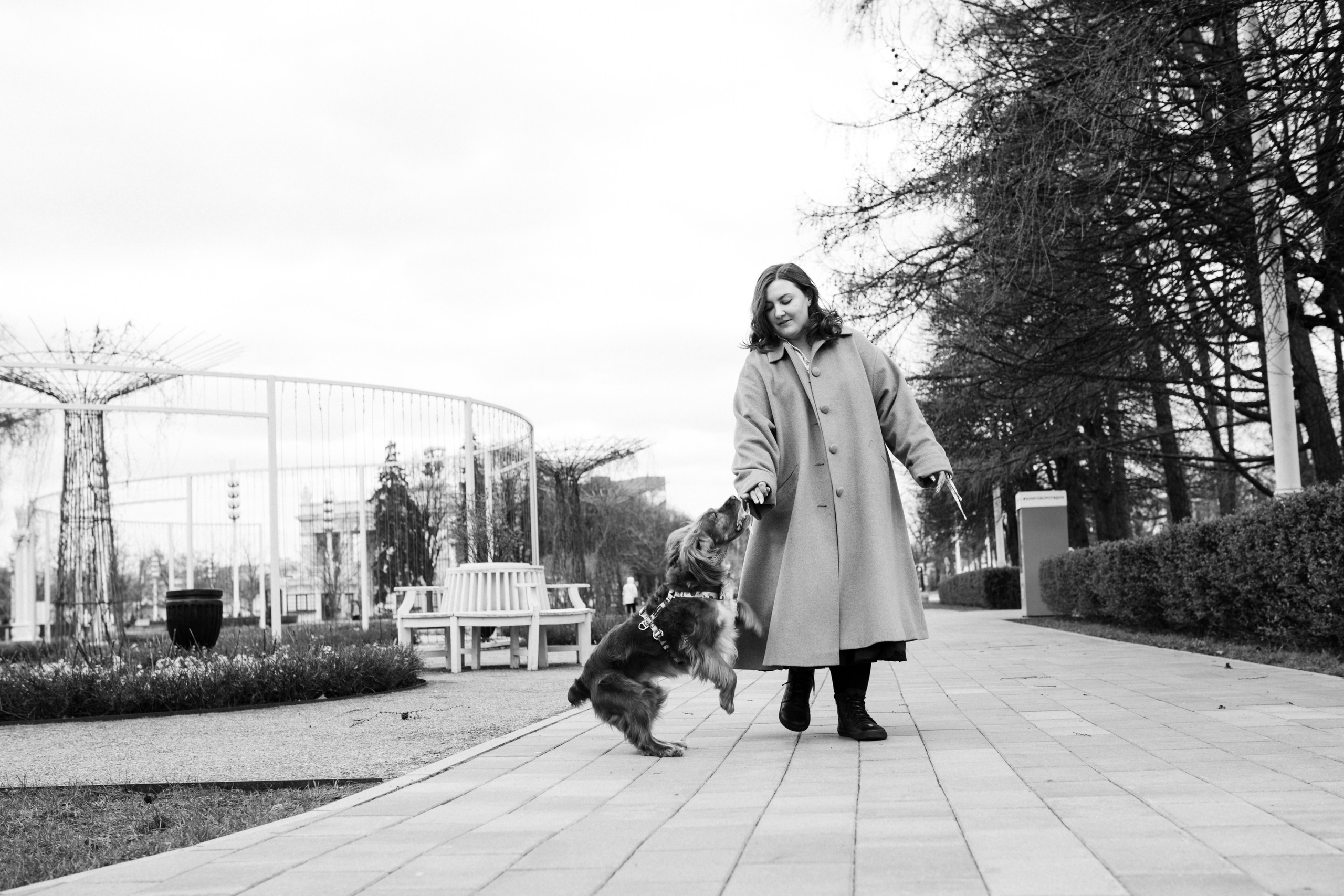 Рыжая команда. Фотограф анималист в Москве Ольга Агушева