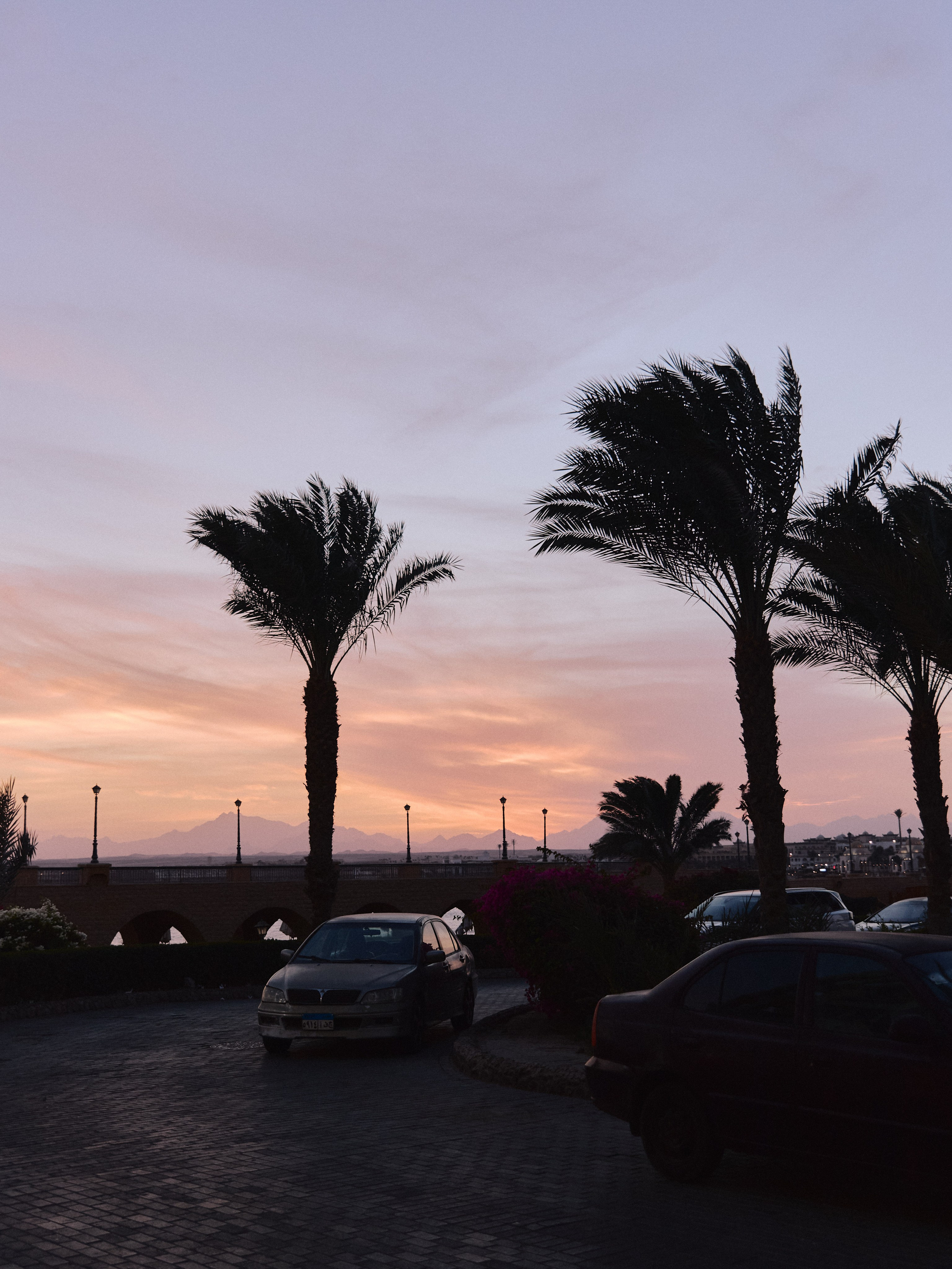 Улицы. Jorgis Talè — photographer, kind person, teacher of arts and other mag