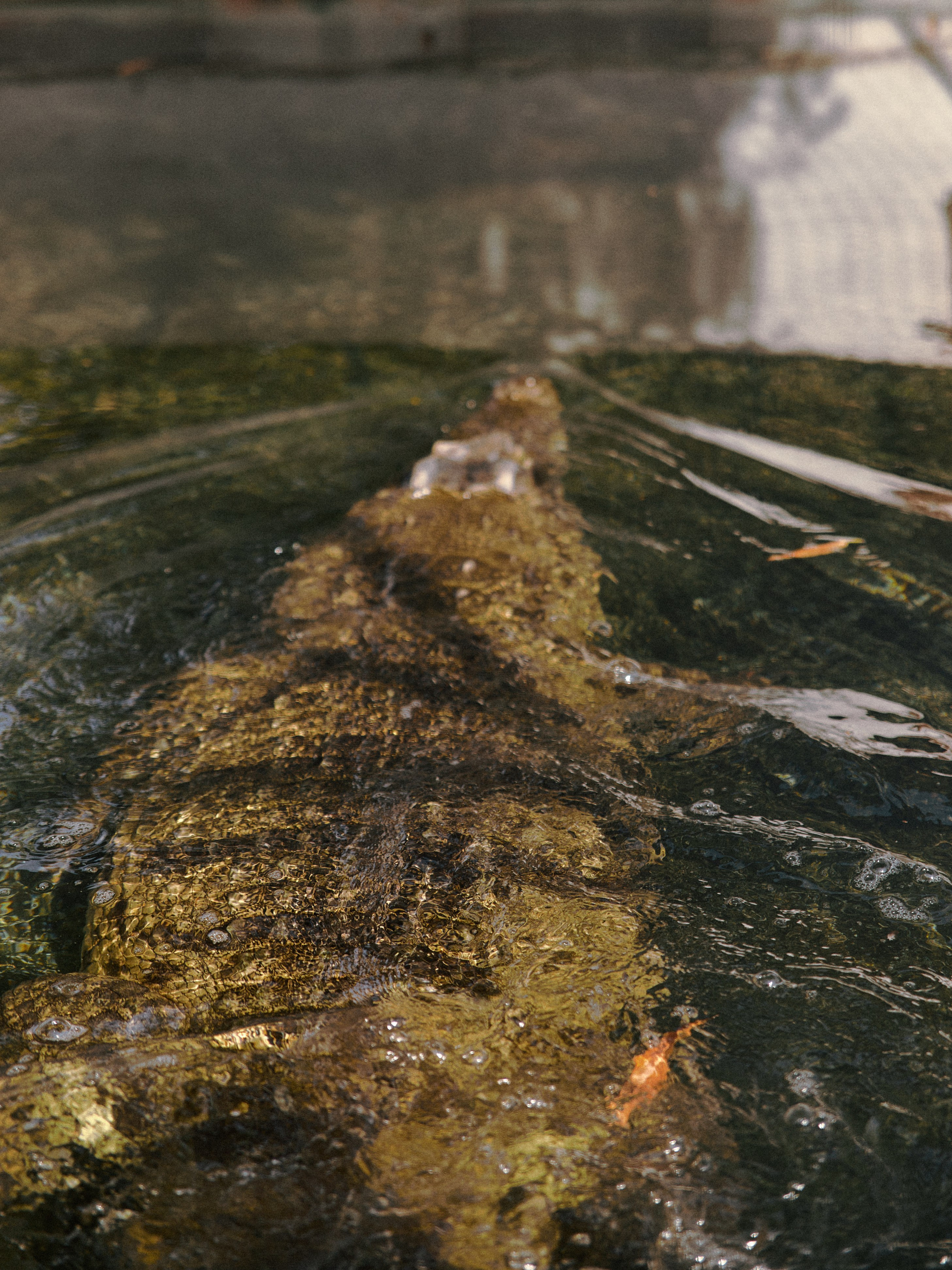 Другое 2. Jorgis Talè — photographer, kind person, teacher of arts and other mag