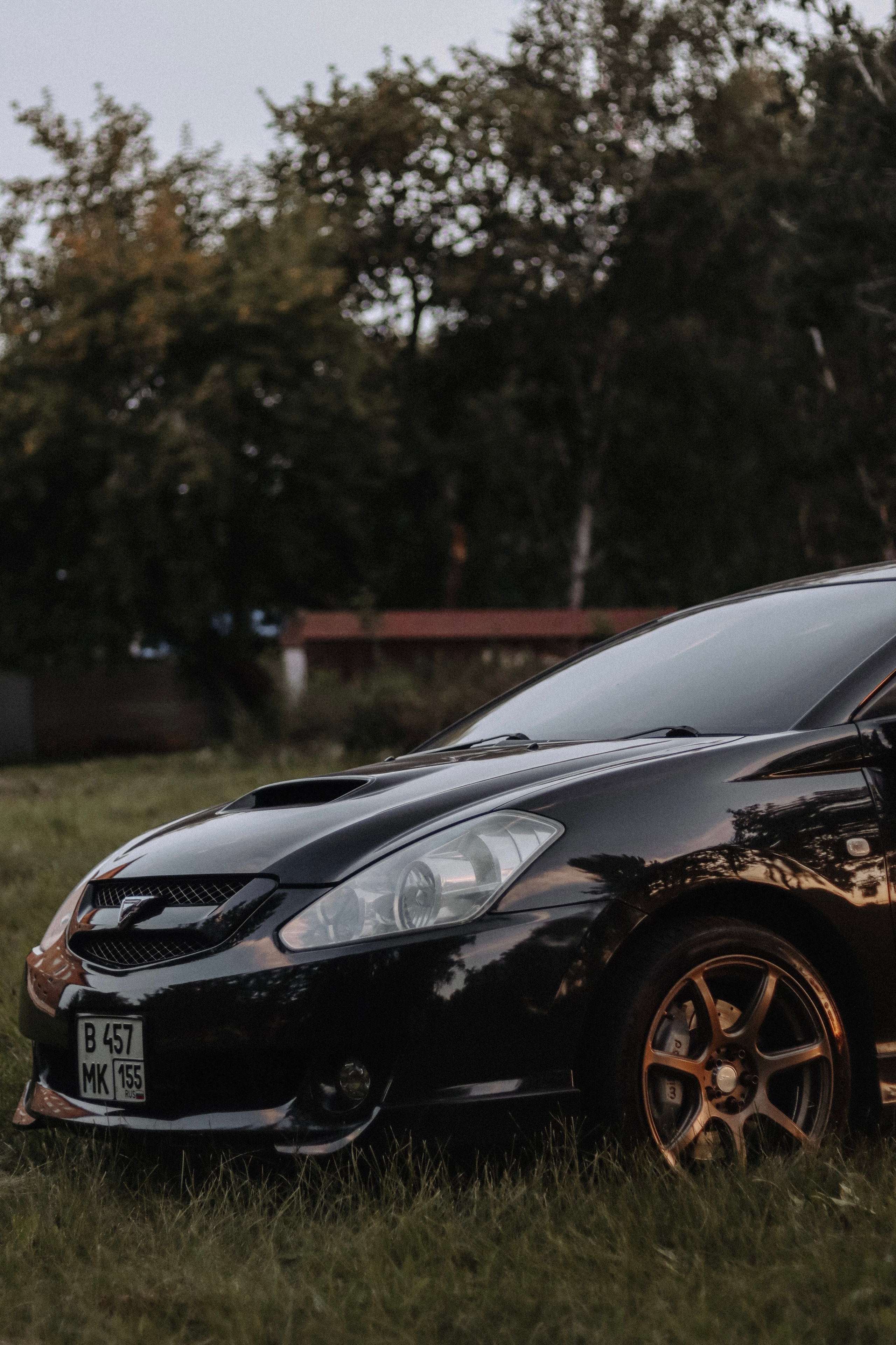 Toyota Caldina. Фотограф София Омск