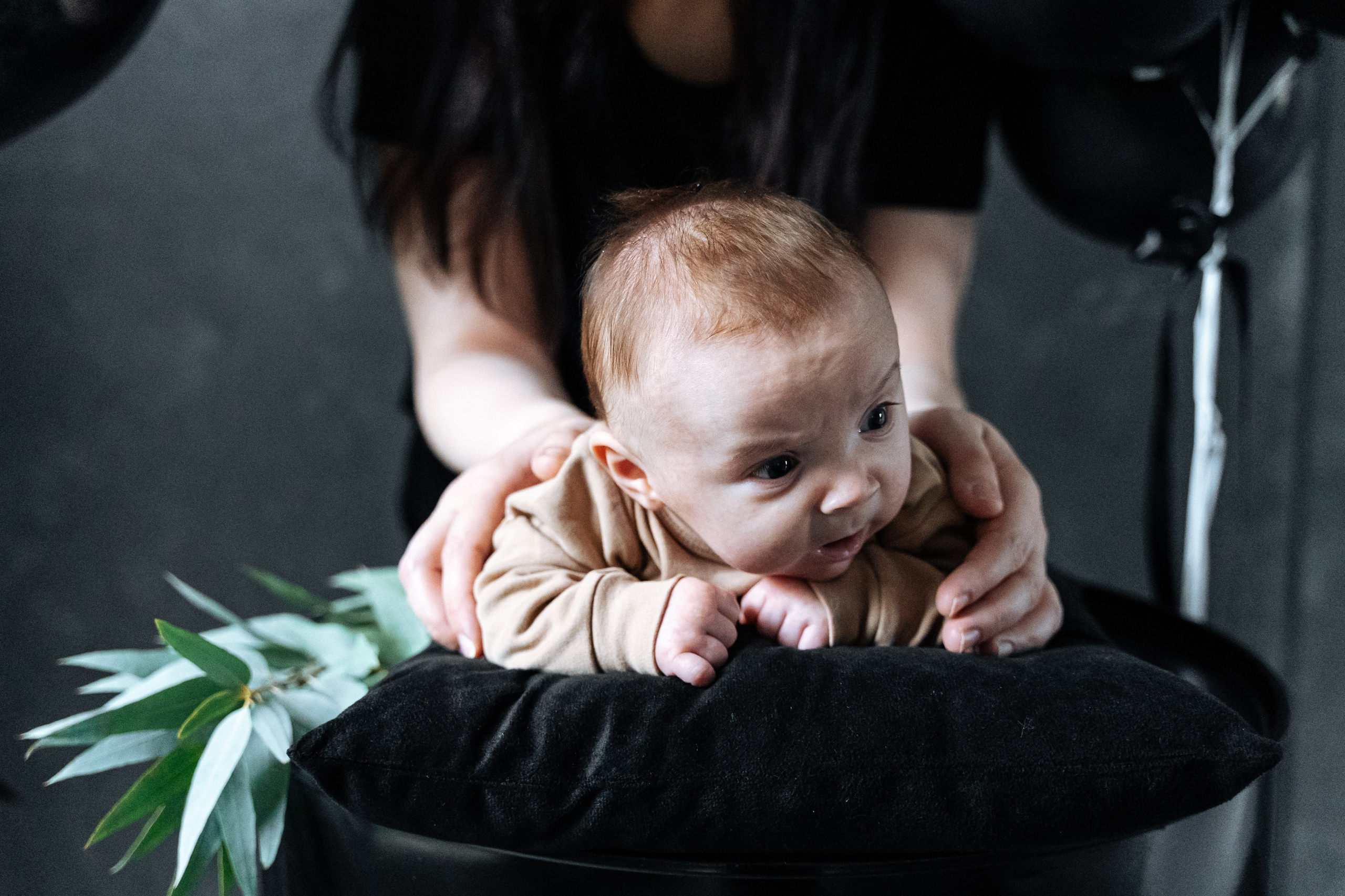 Яна, Лана и Давид. Главная