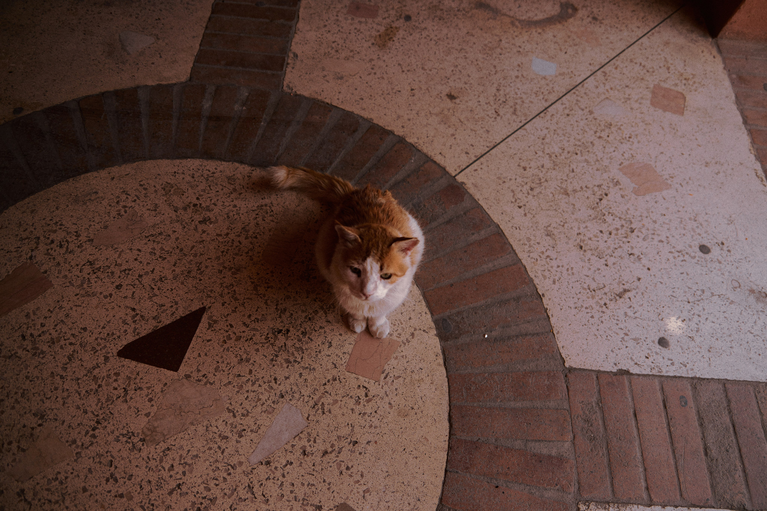 Улица горизонтальная. Jorgis — фотограф в Хургаде / обучение фотографии