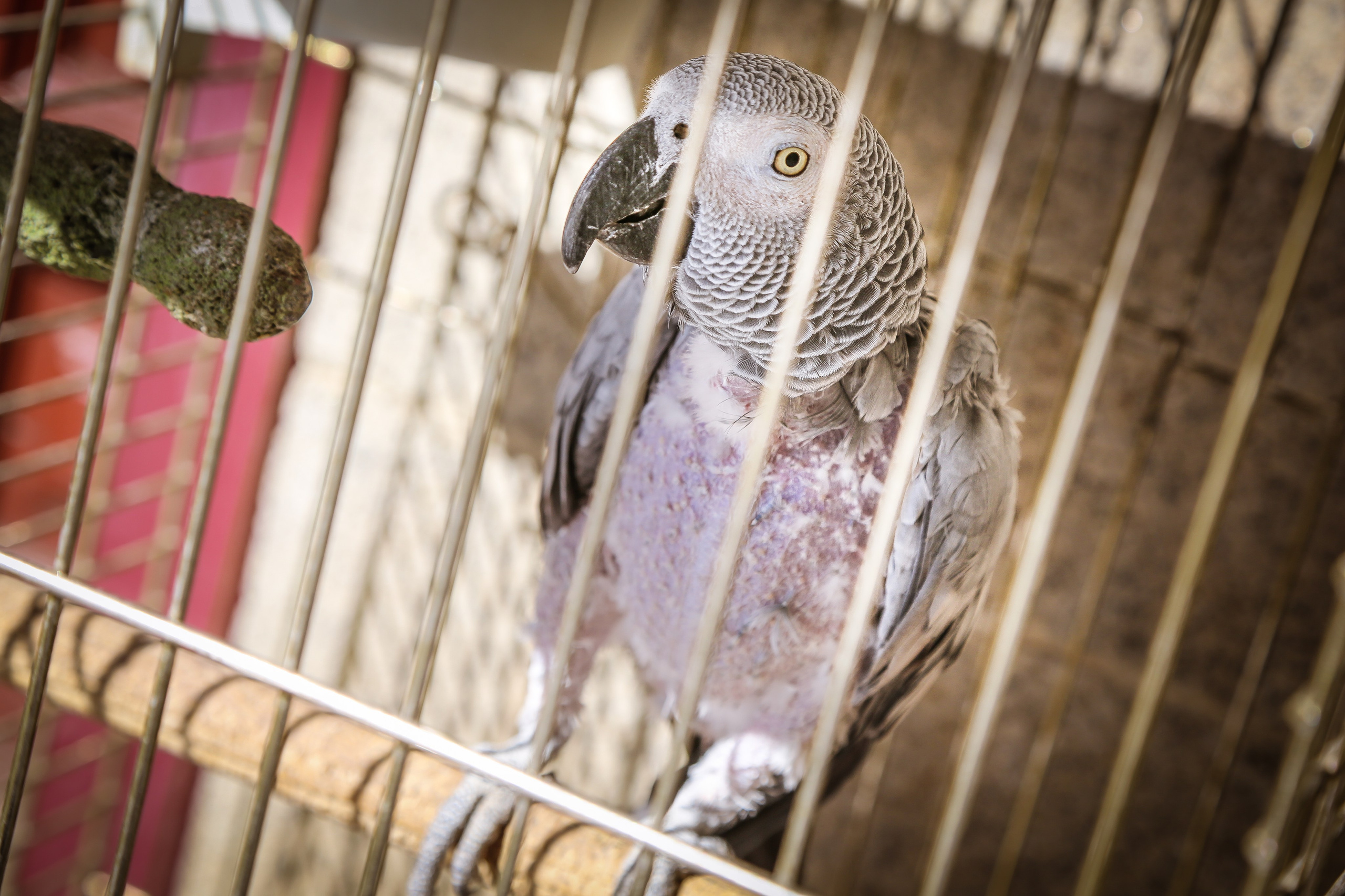 Испания: Толедо. Дарья Письменюк / Darya Leitstern — фотограф, музыкант, журналист, путешественник