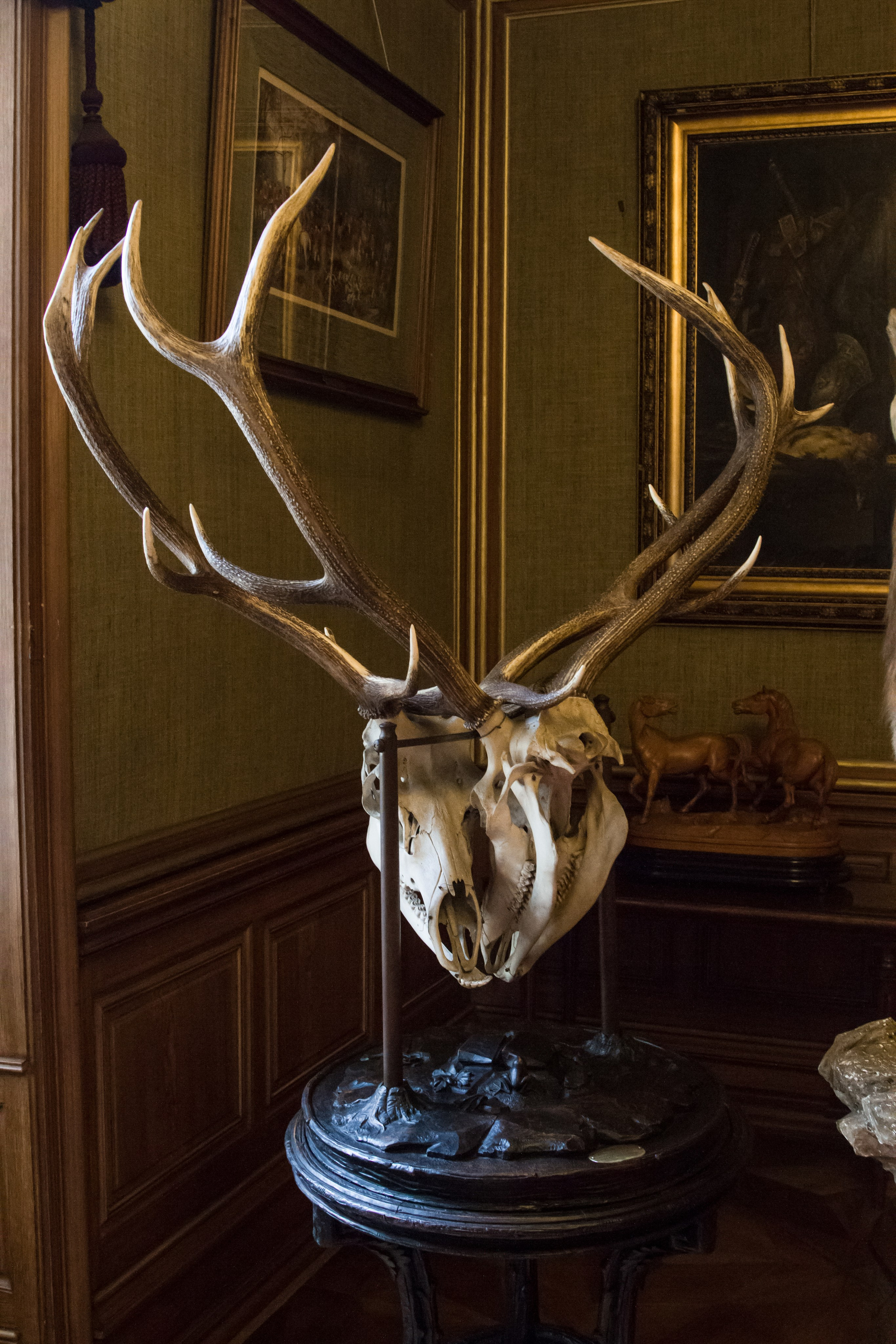 Австрия: Бад-Ишль. Дарья Письменюк / Darya Leitstern — фотограф, музыкант, журналист, путешественник