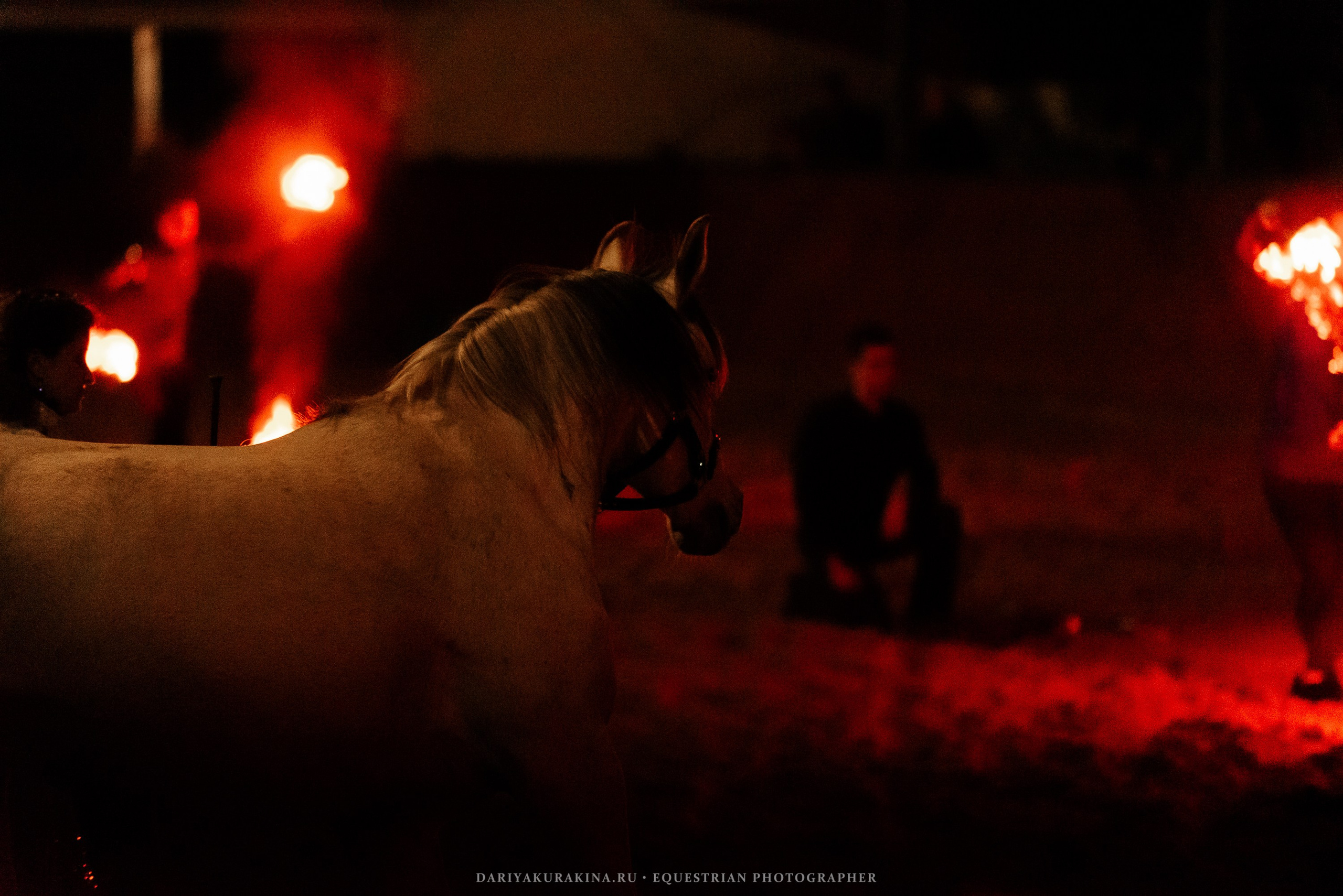 Конное представление «Дыхание Звёзд». Конный фотограф Куракина Дарья • Фотосессии с лошадьми