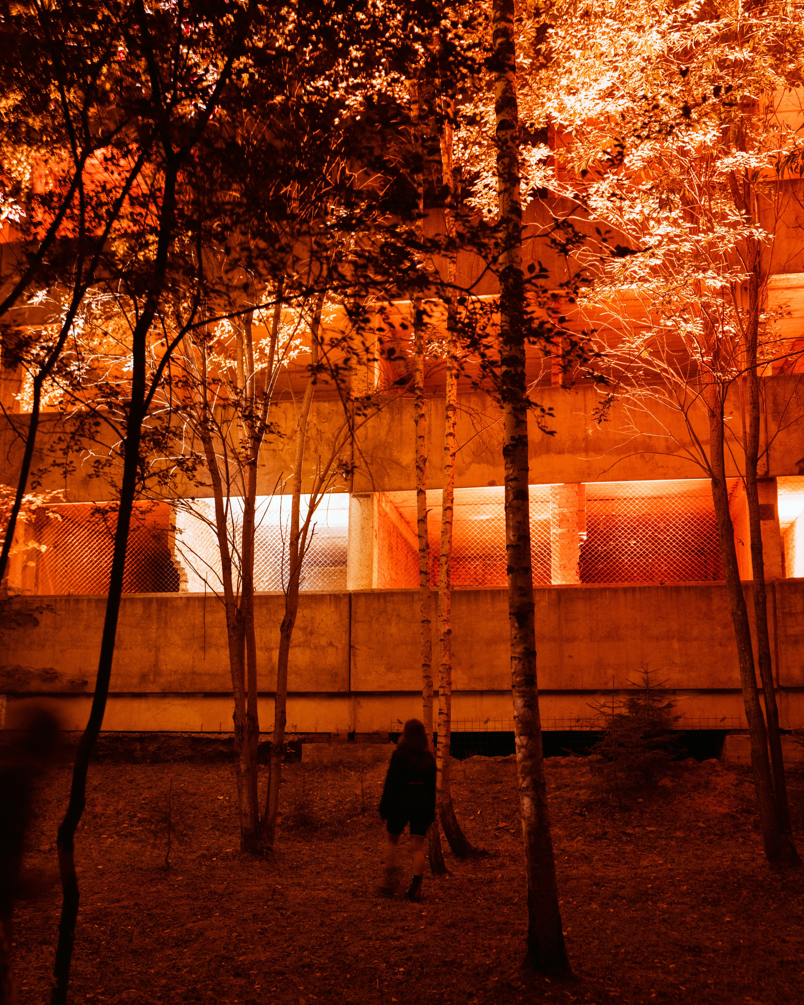 Outline 2024. @tomrus: Рустам Шагиморданов — фотограф