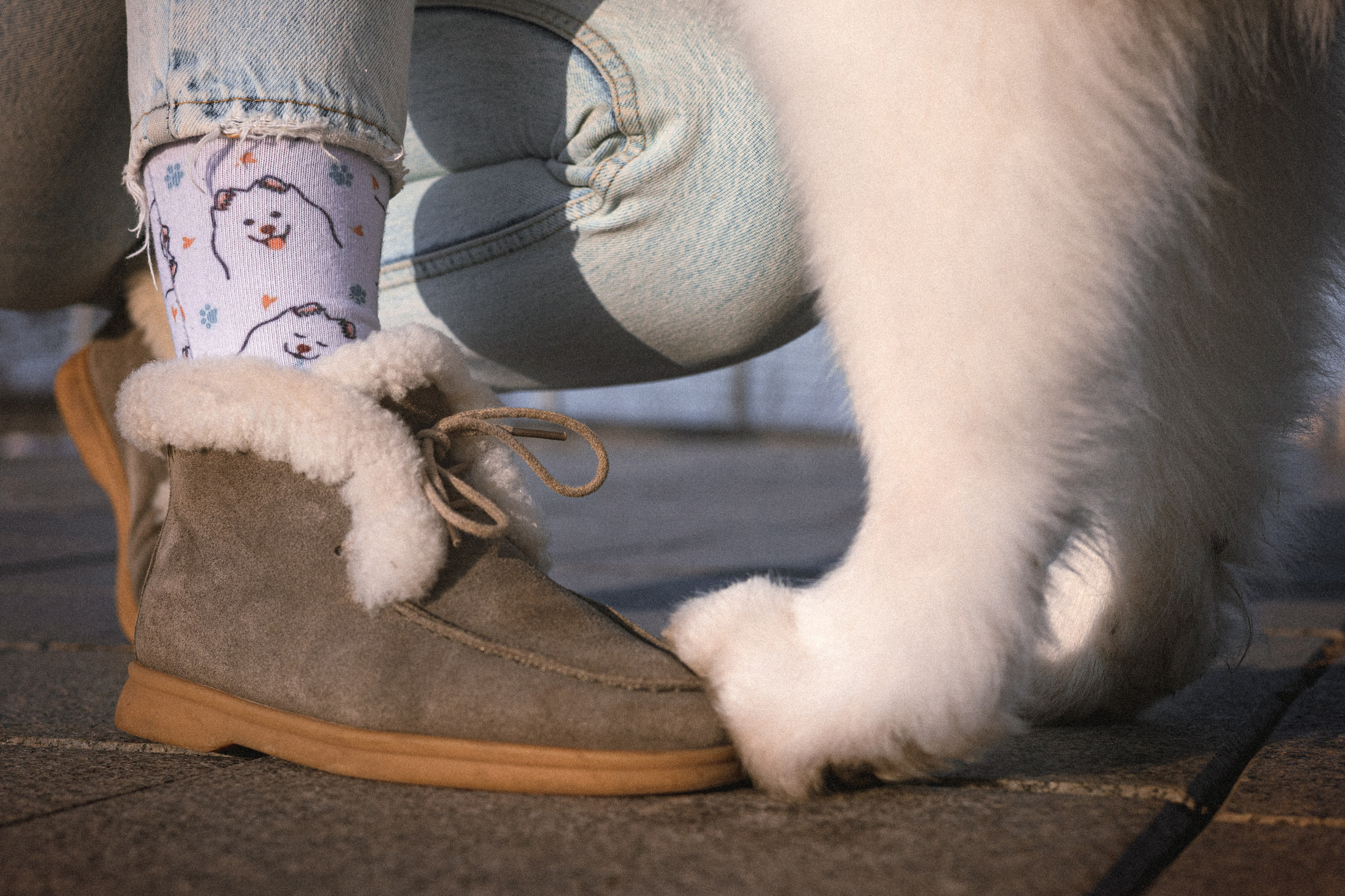 Полина и Вирчик. Фотограф — анималист Владивосток, Алина