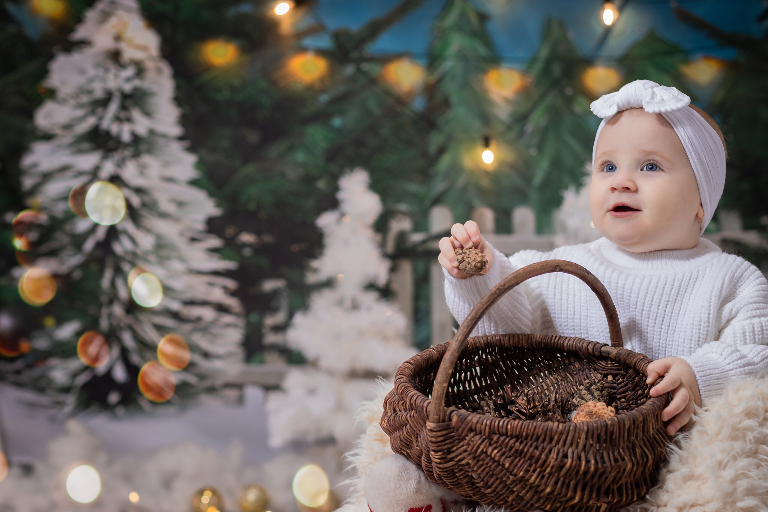 НОВОГОДНИЕ. Фотосалон Рудня. Волгоградская область. Фотограф Вера