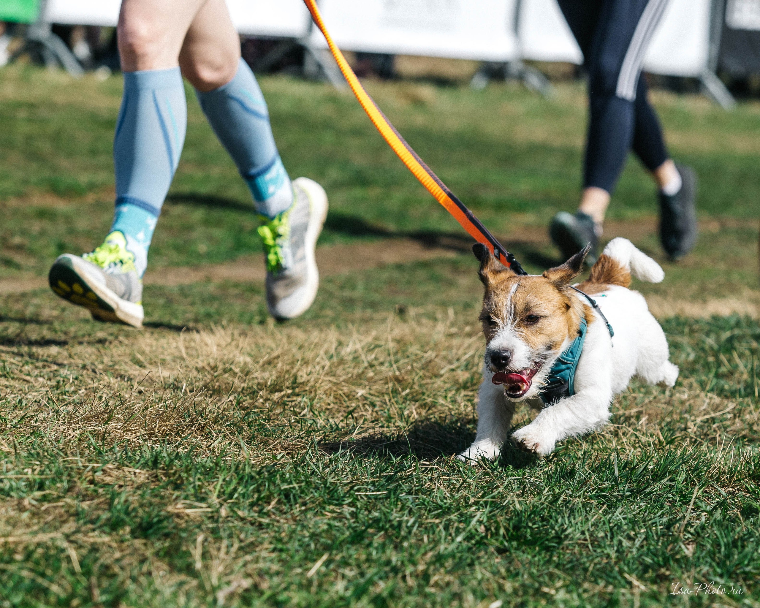Кросс «Быстрый пёс» 2025. Репортажный фотограф в Москве