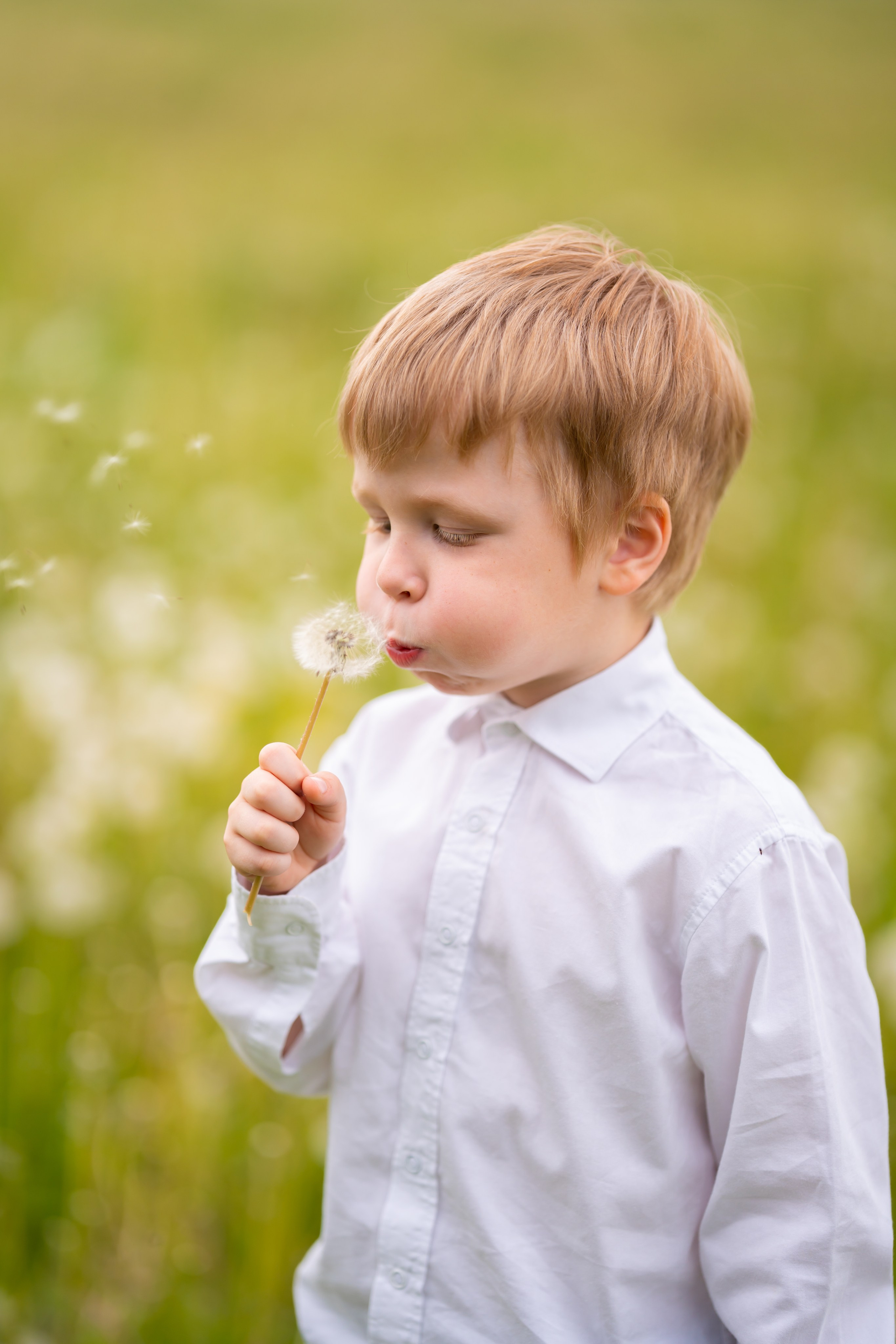 Летние фотопрогулки. Индивидуальные и семейные фотосессии в Калужской области Катерина Шатохина