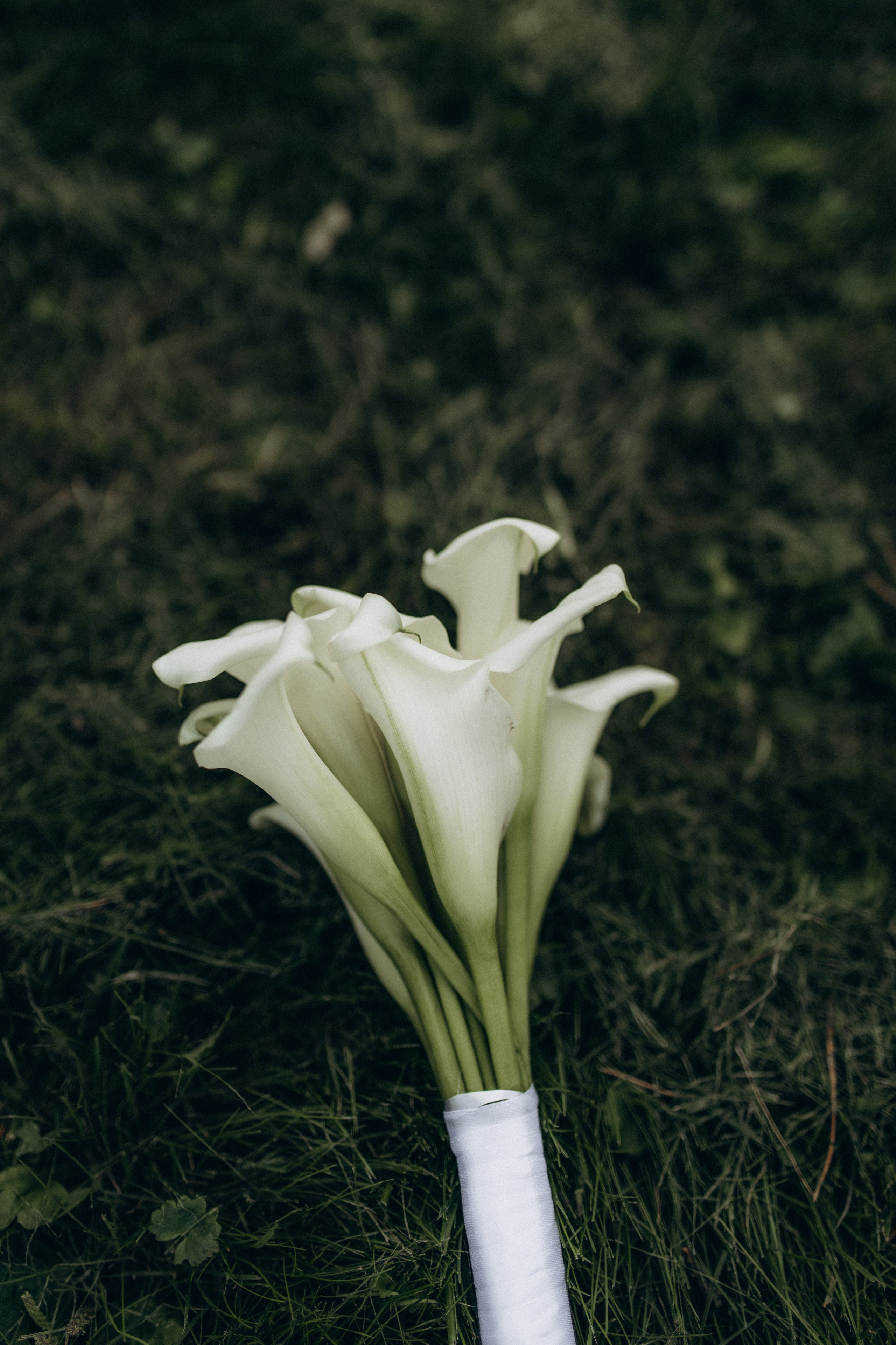 Мария & Иван. Фотограф НОГИНСК, Москва, Анастасия Белая