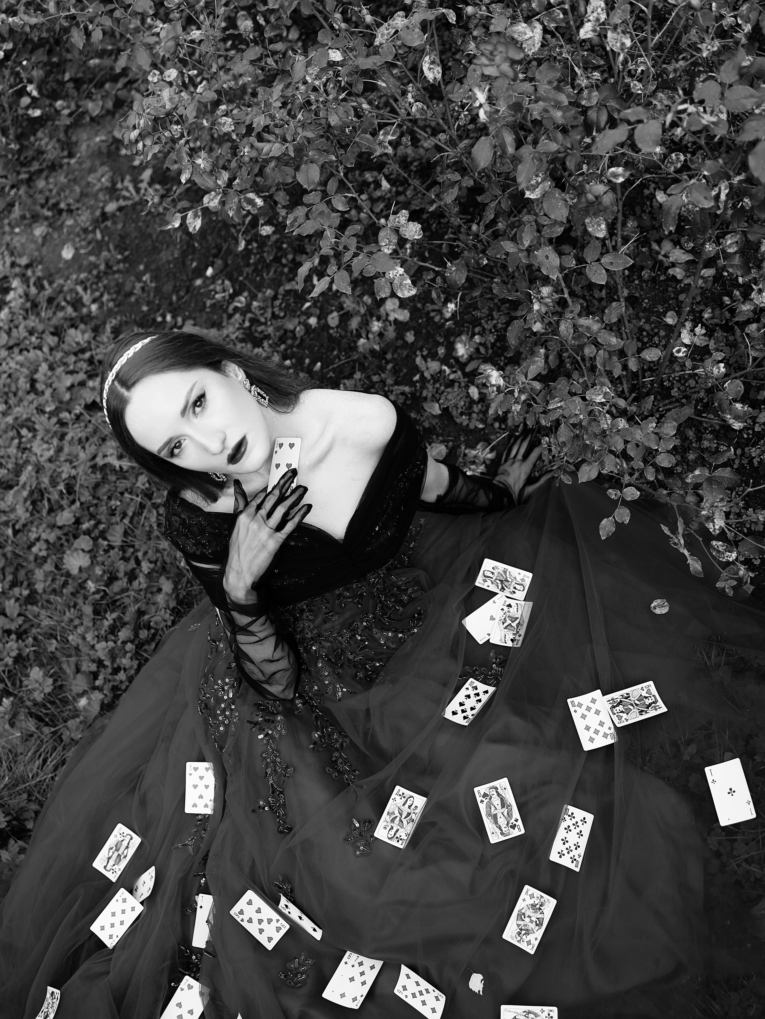 Алиса В Стране Чудес. Главная