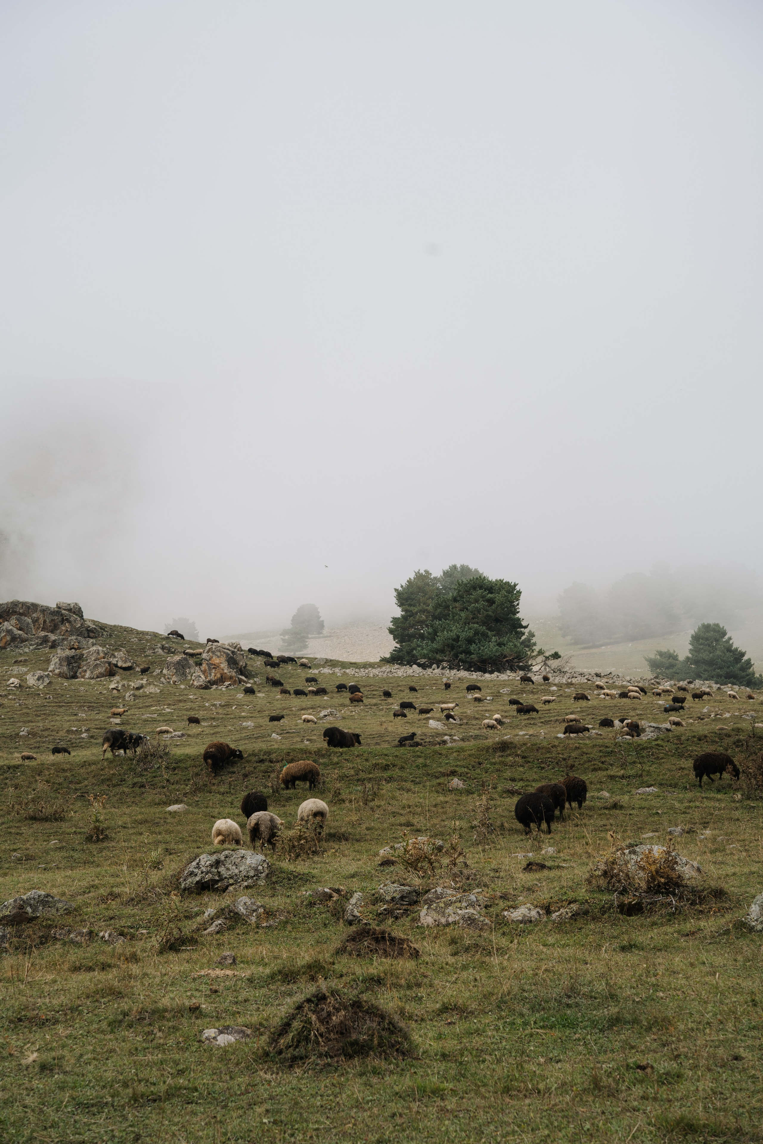 Фото сопровождение туров. Фотограф в Ростове-на-Дону и по всему миру Веникова Ольга