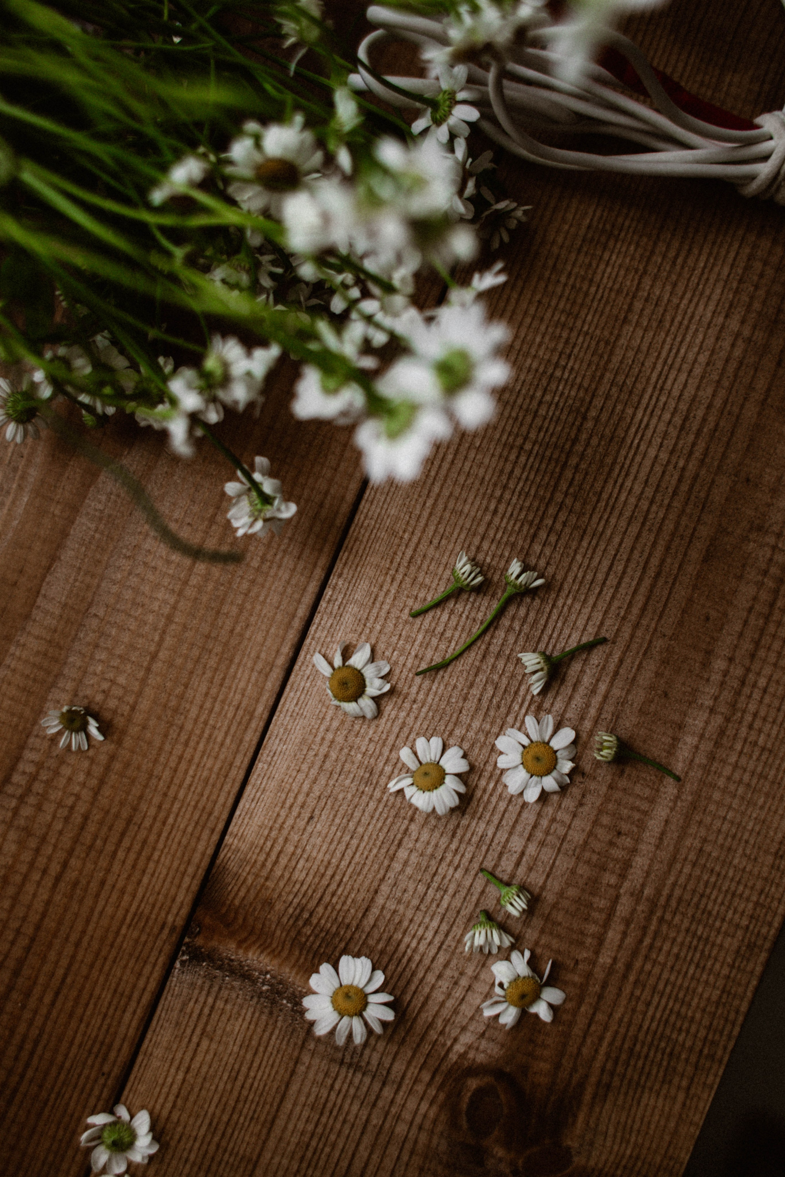 ДОМАшняя фотостудия. Фотограф в Нижнем Новгороде