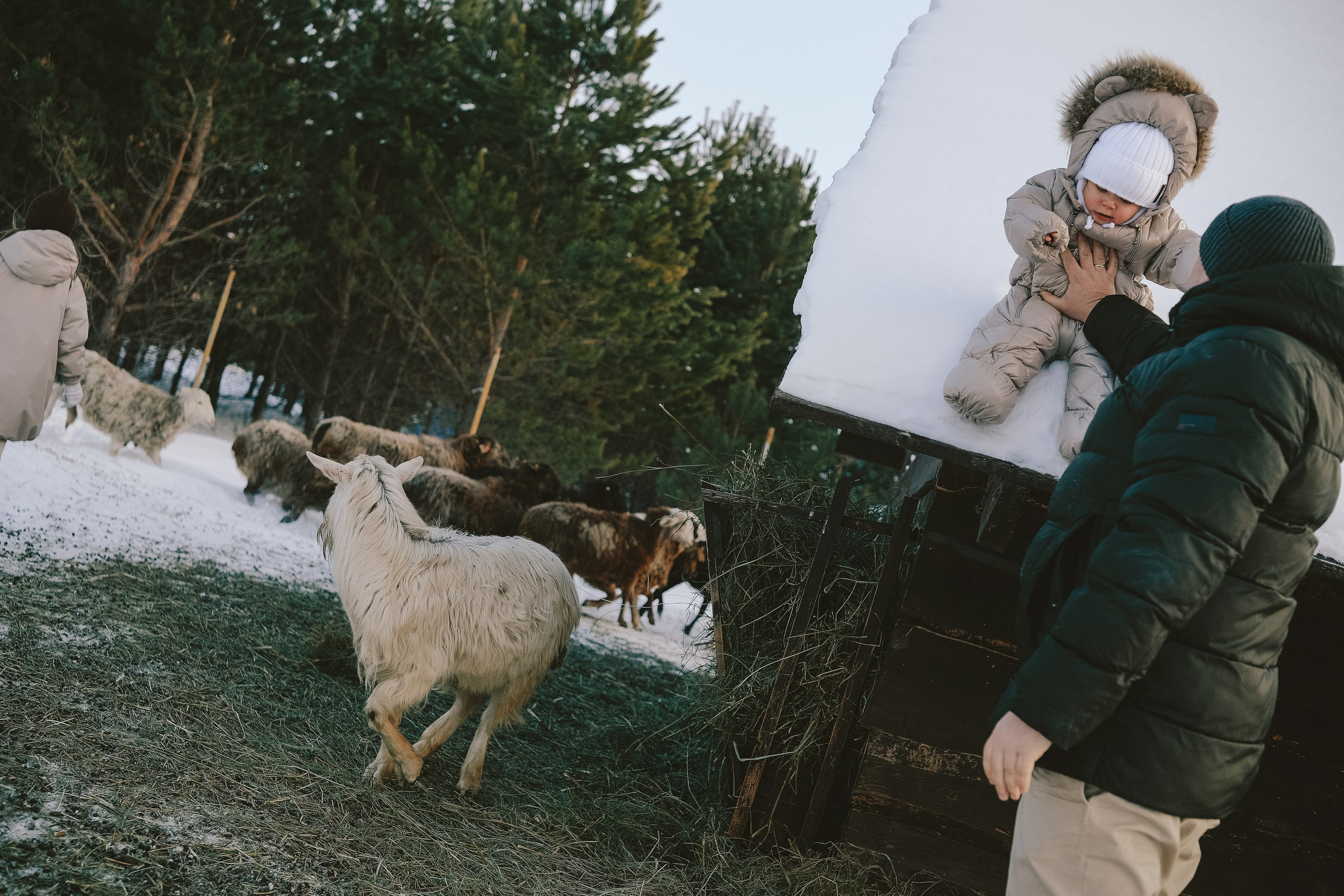 семейная фотосессия, семейнаяфотосьемка, фото семьи, детская фотография