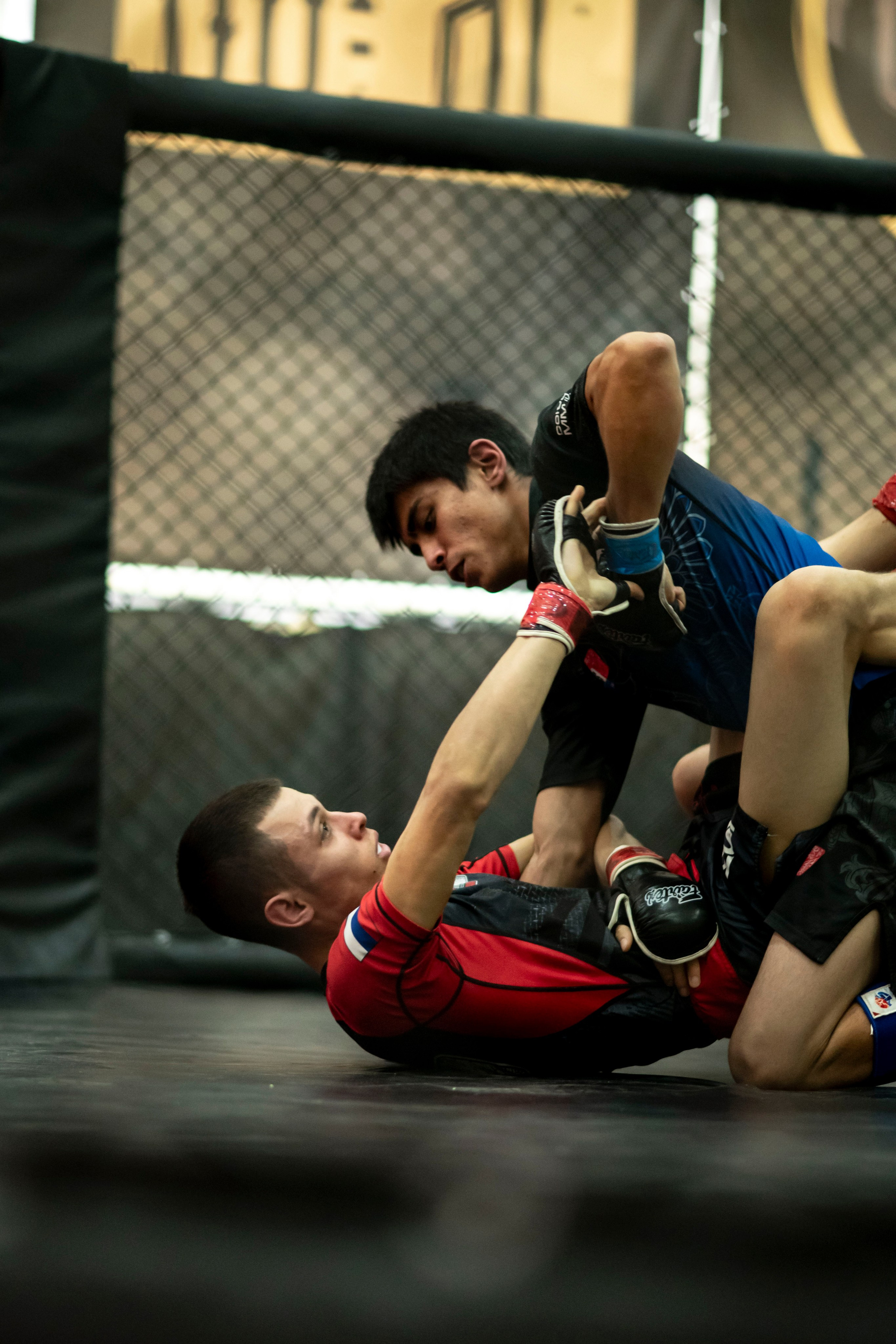 Всероссийский турнир ММА. Новомосковск, ноябрь 2025. Спортивный фотограф в Туле и Тульской области. Файсханова Фото Спорт
