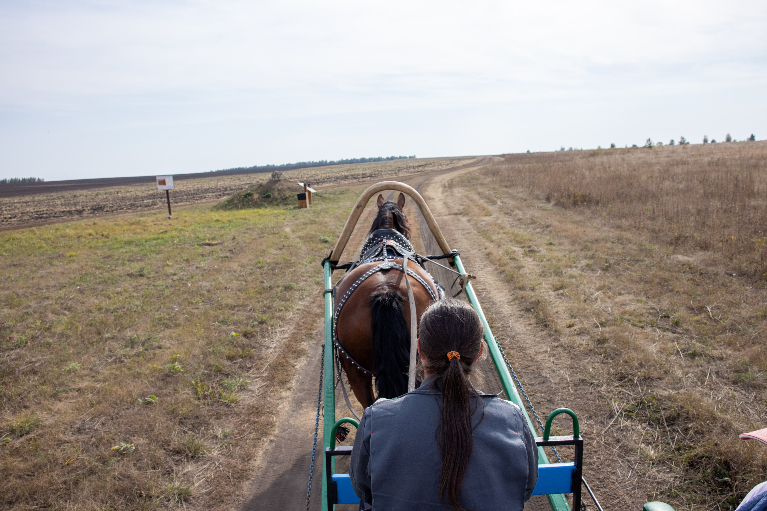 Поездка на поле Кулеково. Фотограф в Туле Крупский АнДРей. Фотостудия «КАДР71» в Туле