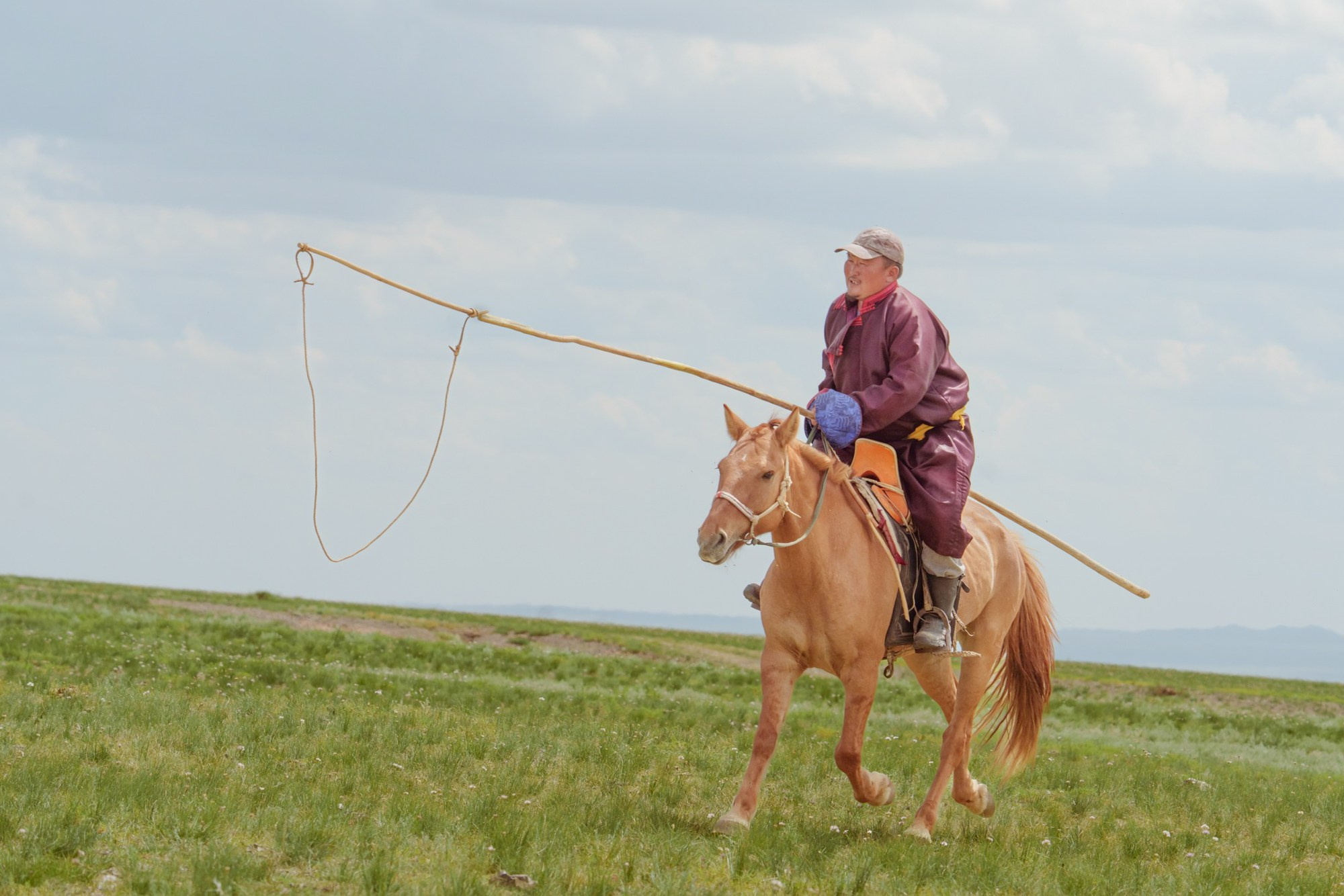 A nomad uses a lasso to catch a foal in the Mongolian steppe