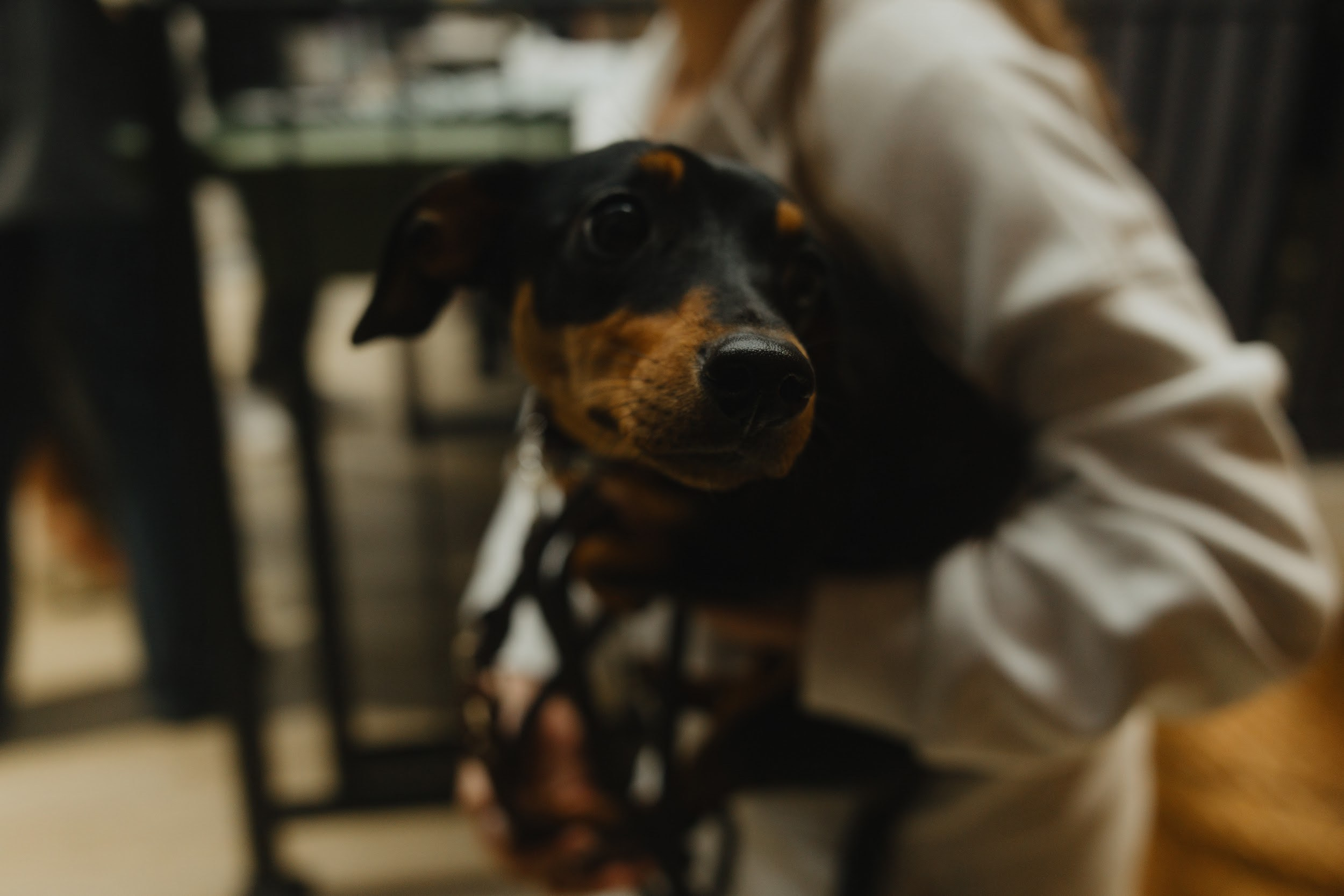 19.04.25 Макс и Марина. Свадебный организатор Екатеринбург