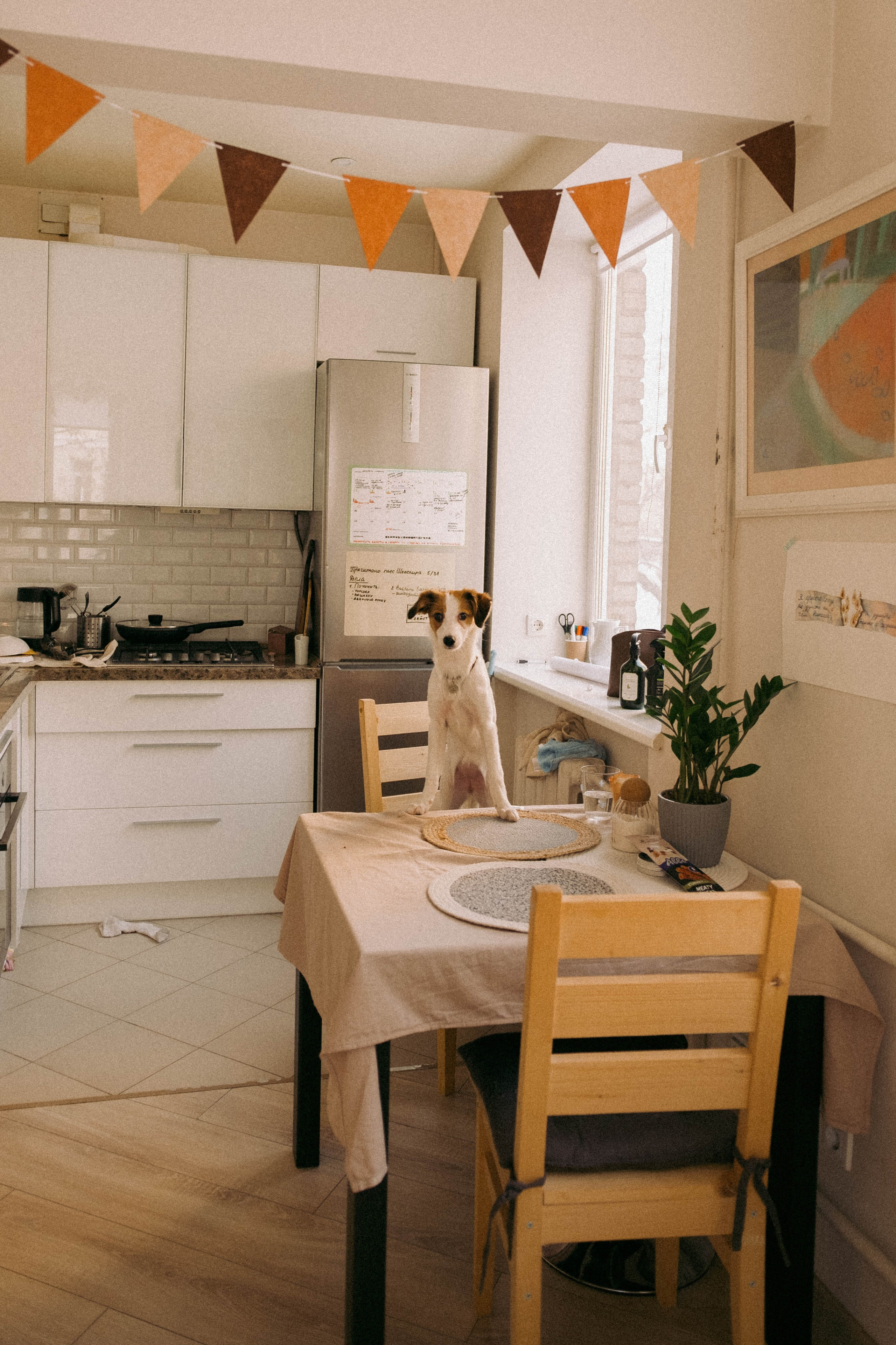 Лика и Клео. Свадебный фотограф Оля Григунова