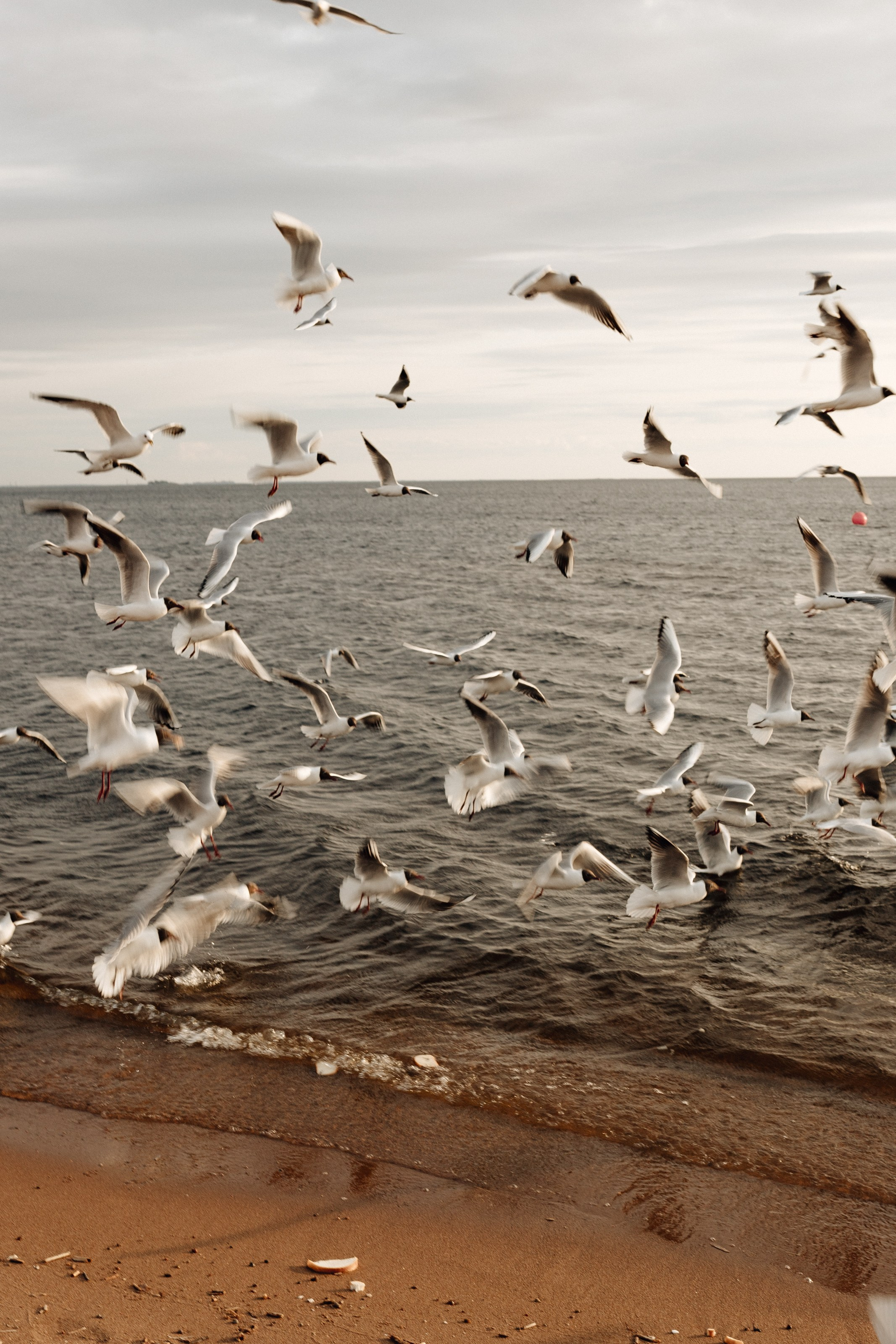 Надежда и ее смысл жизни. Главная