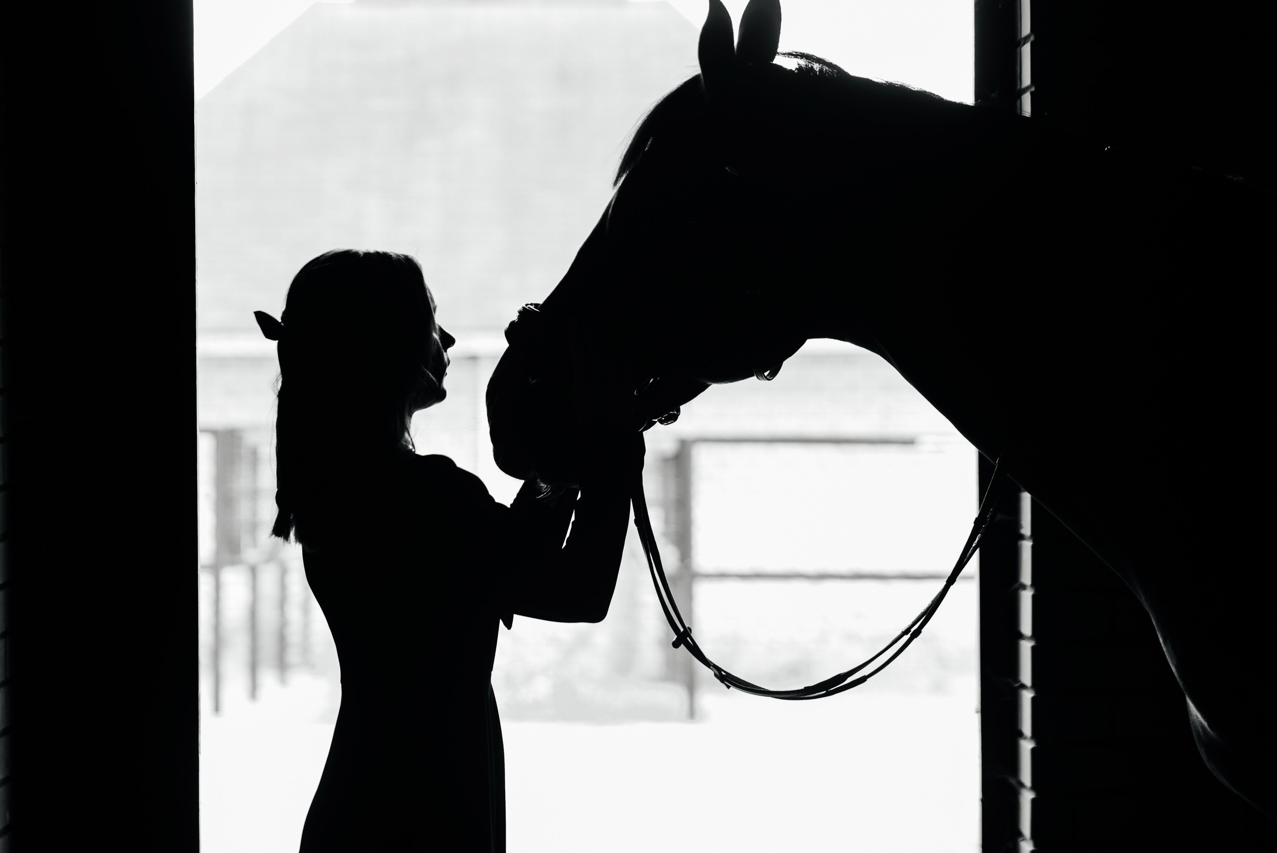 Фотосессии с лошадьми. Фотограф Рязань