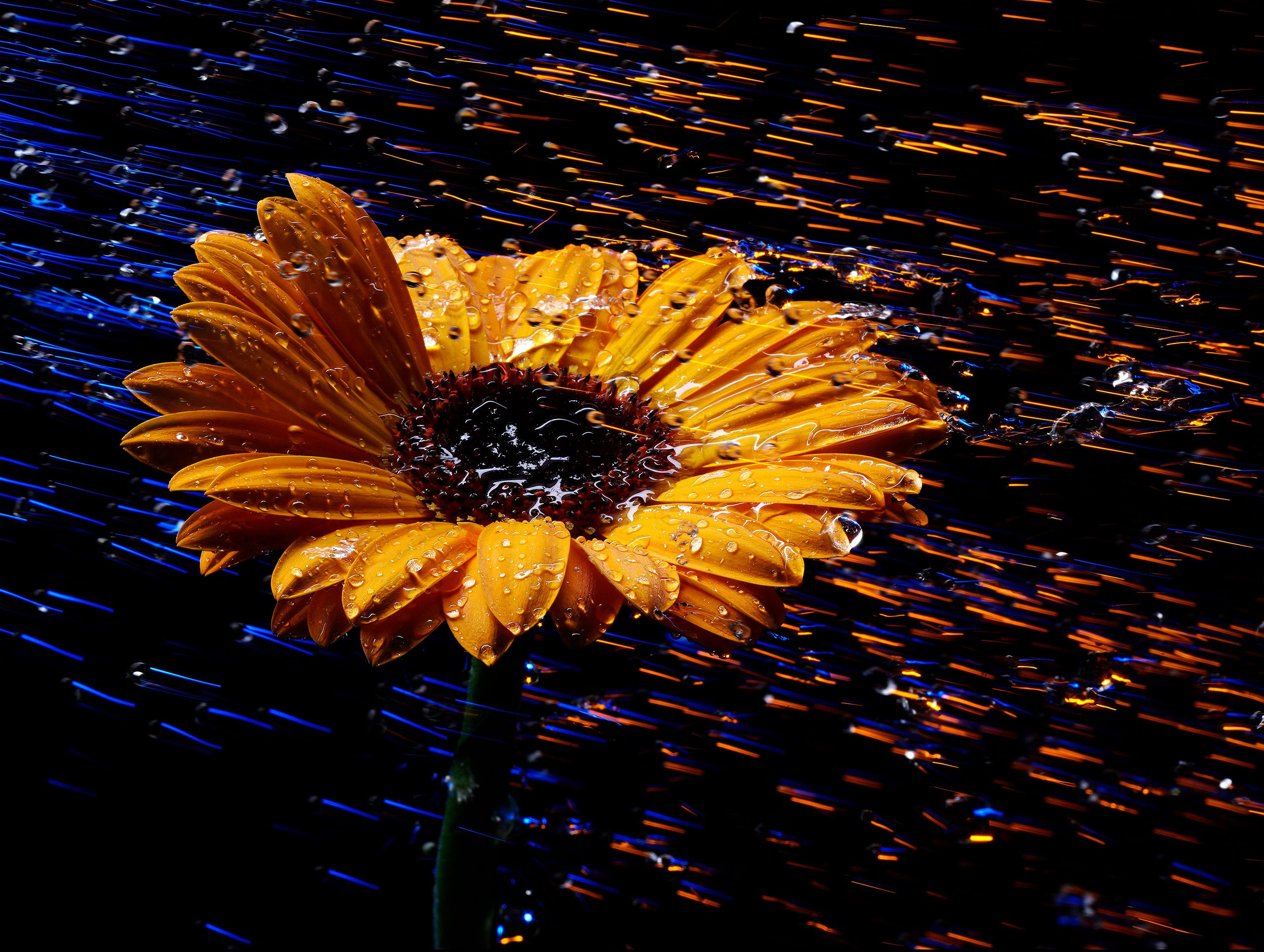 Портфолио. Фотостудия Игоря Сахарова (Санкт-Петербург)