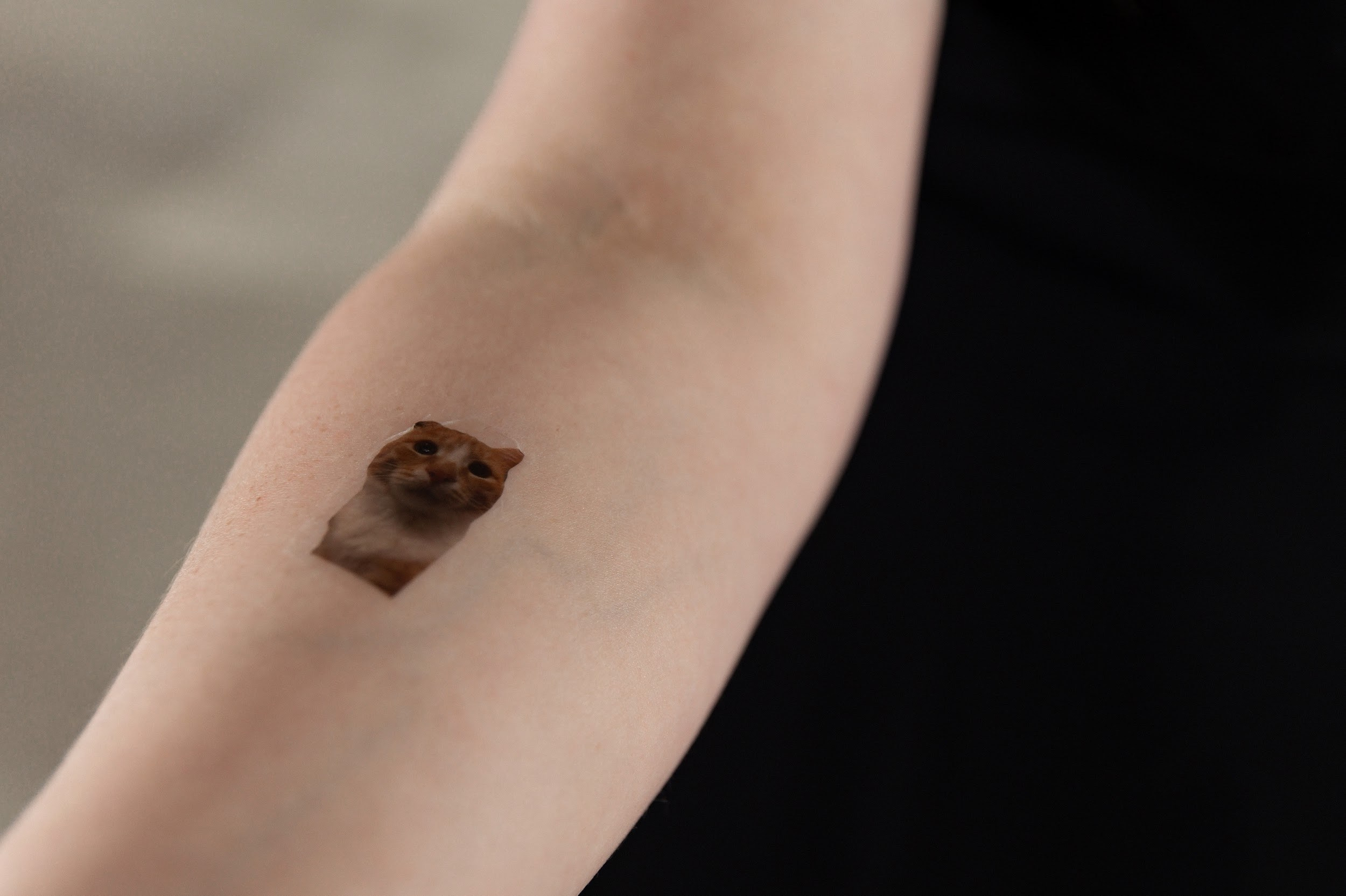 29.06 Илья и Анна. Свадебный организатор Екатеринбург