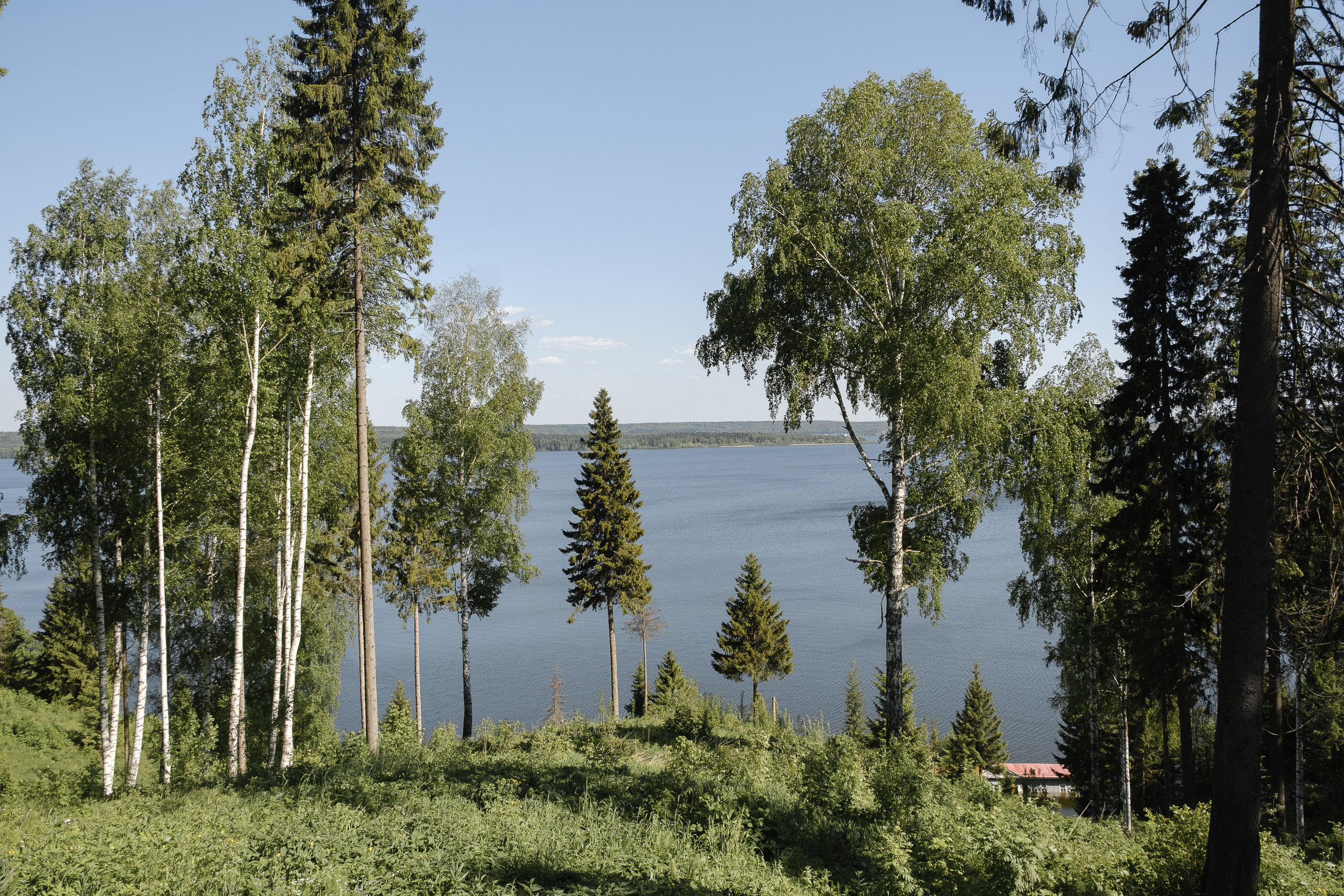 Свадебная съемка в лесном домике с видом на реку. Свадебный фотограф Элли Федосеева