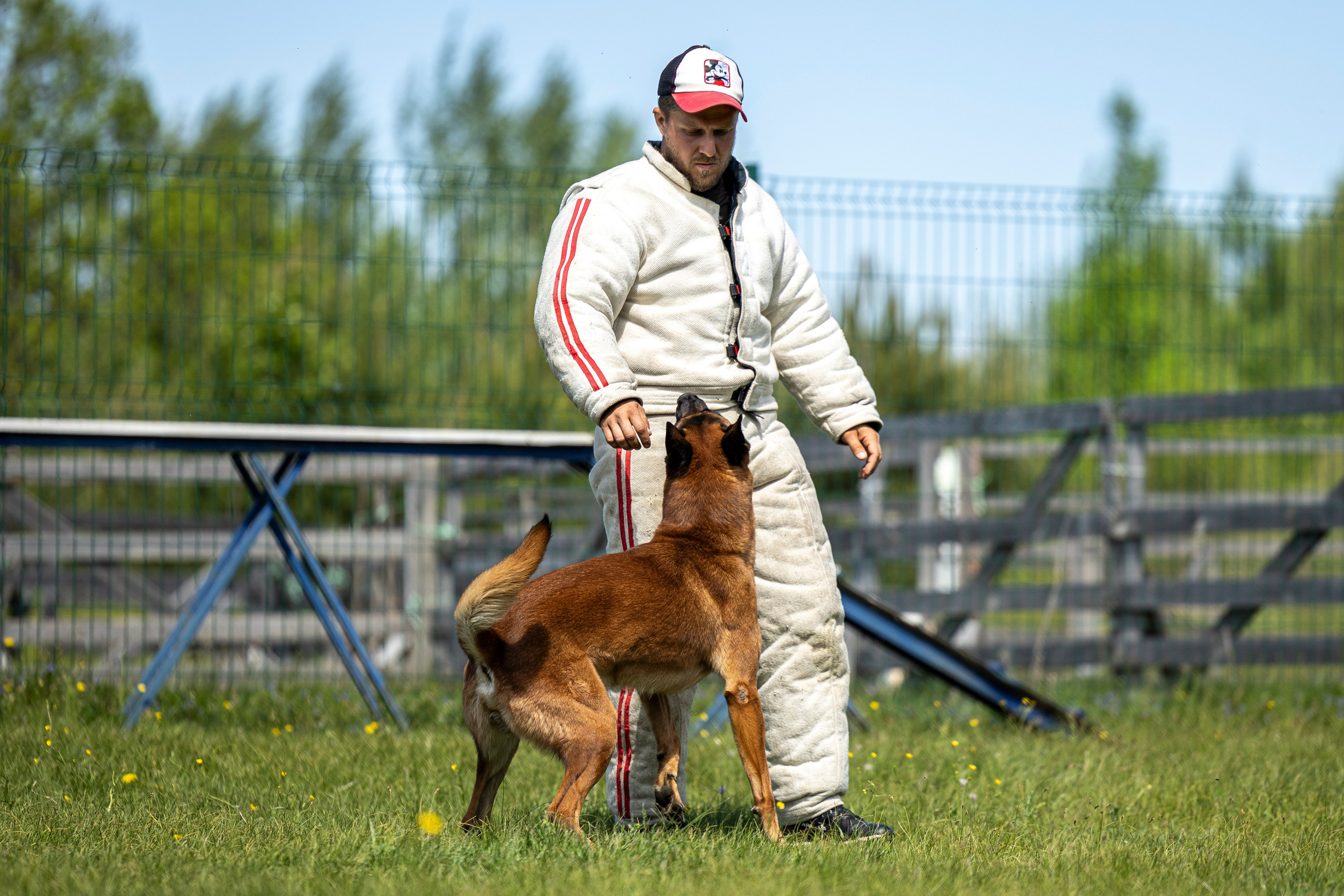 Испытания по мондьорингу в Нижнем Новгороде. Фотограф-анималист Анна Маринич