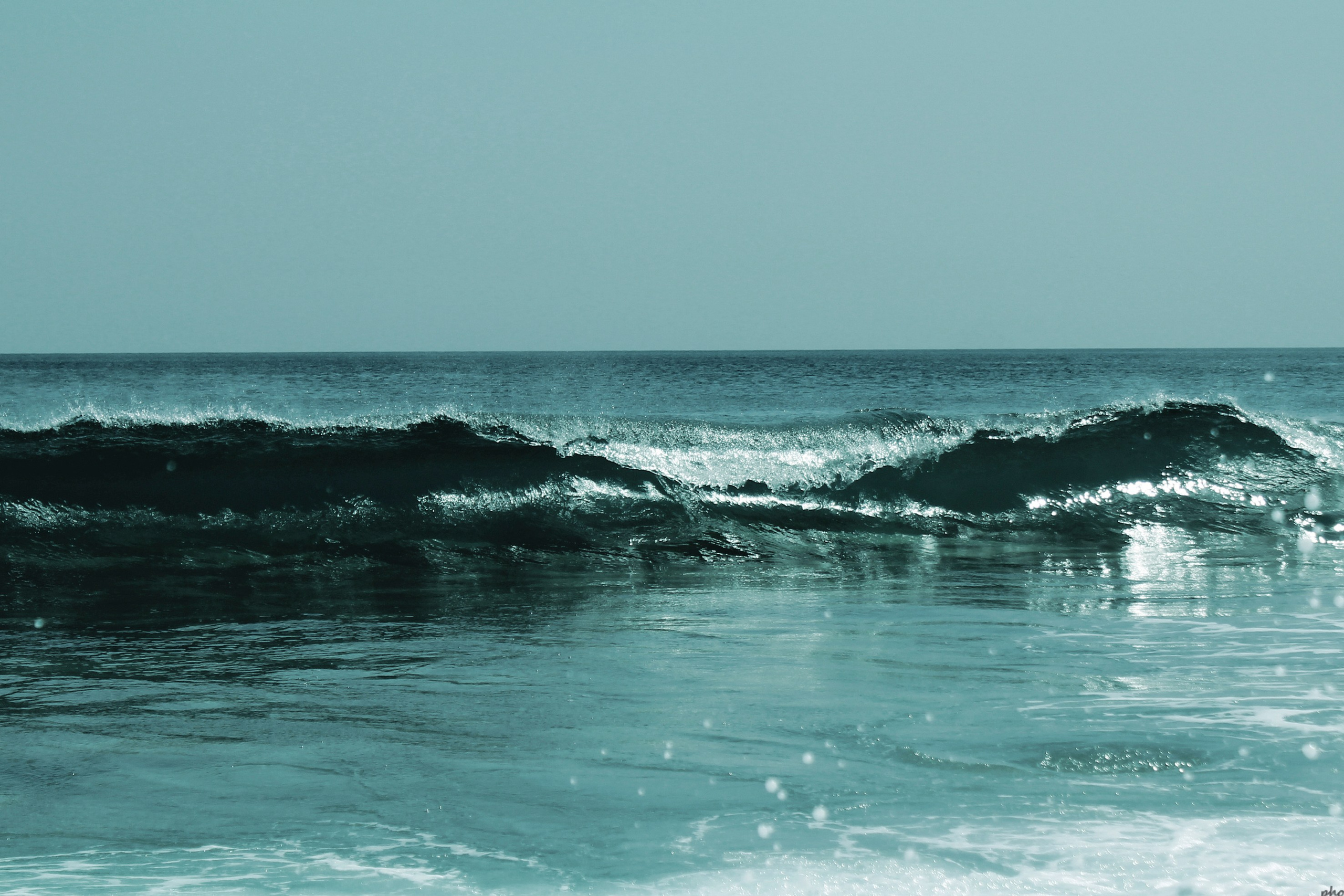 Природа. Команда фотографов Кристины Ивановой