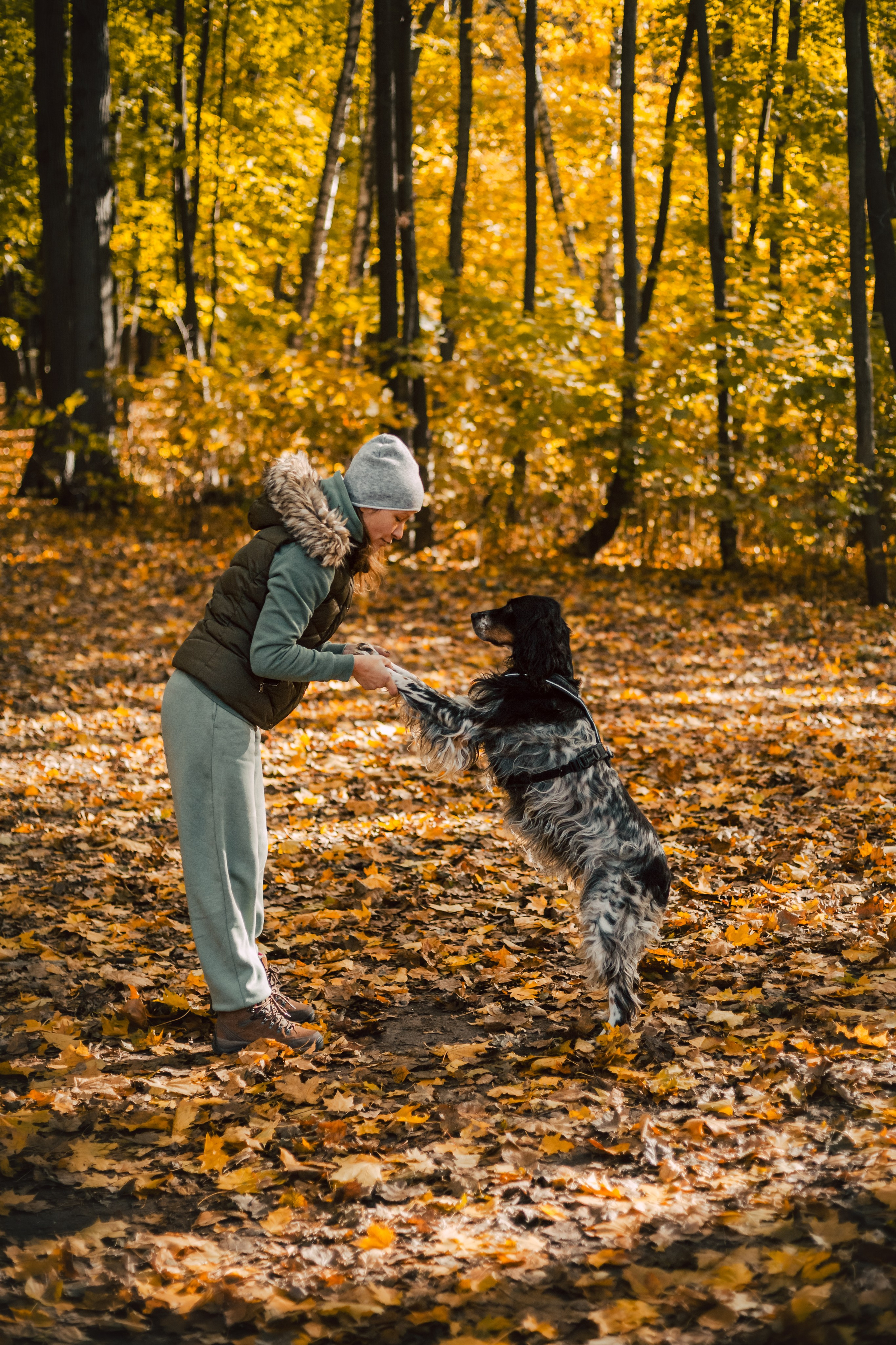 Света, Хайди, Богдана. Фотограф-анималист Татьяна Степанова